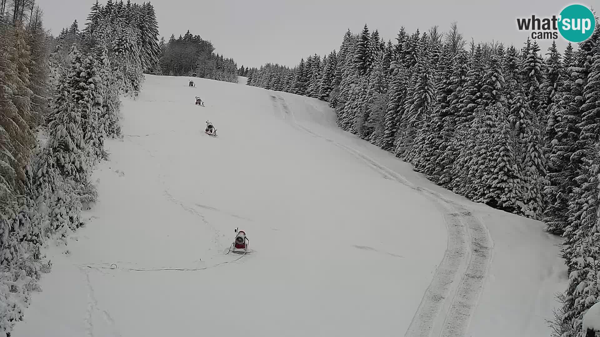 Live webcam Rogla appartamenti Dandi – Jurgovo