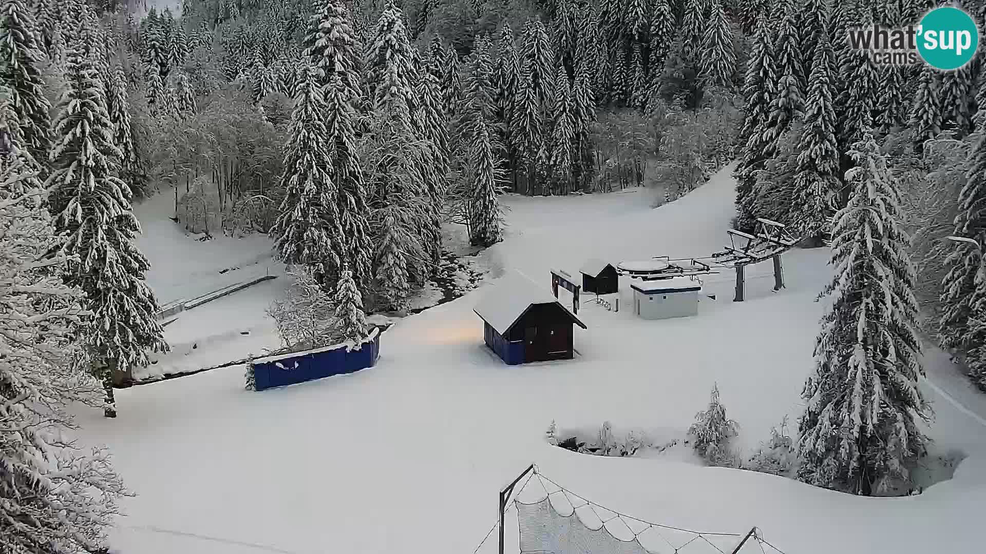 Live webcam Rogla appartamenti Dandi – Jurgovo