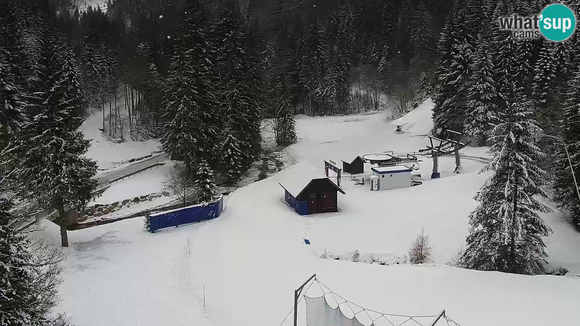 Livecam Rogla apartments Dandi – Jurgovo