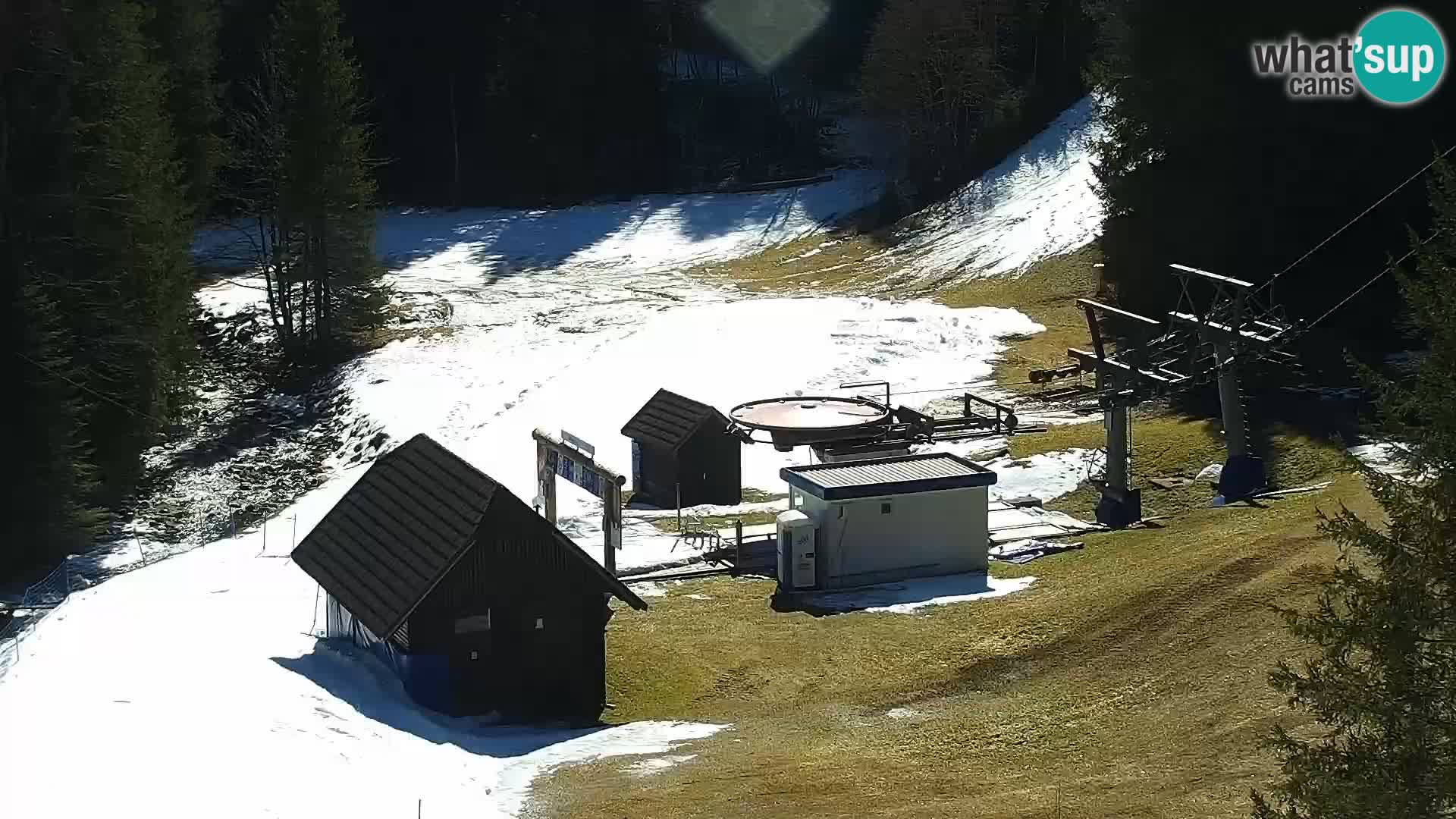 Livecam Rogla apartments Dandi – Jurgovo