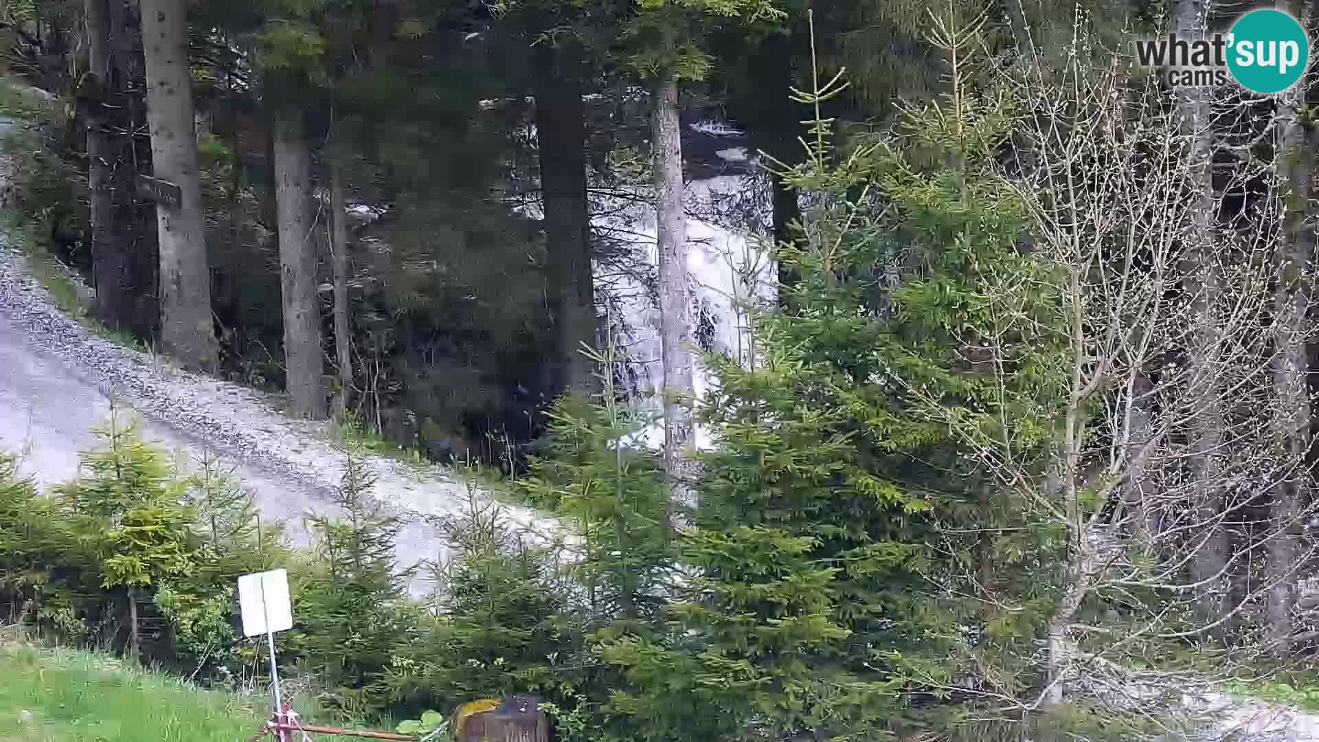Camera en vivo Rogla appartamentos Dandi – Jurgovo