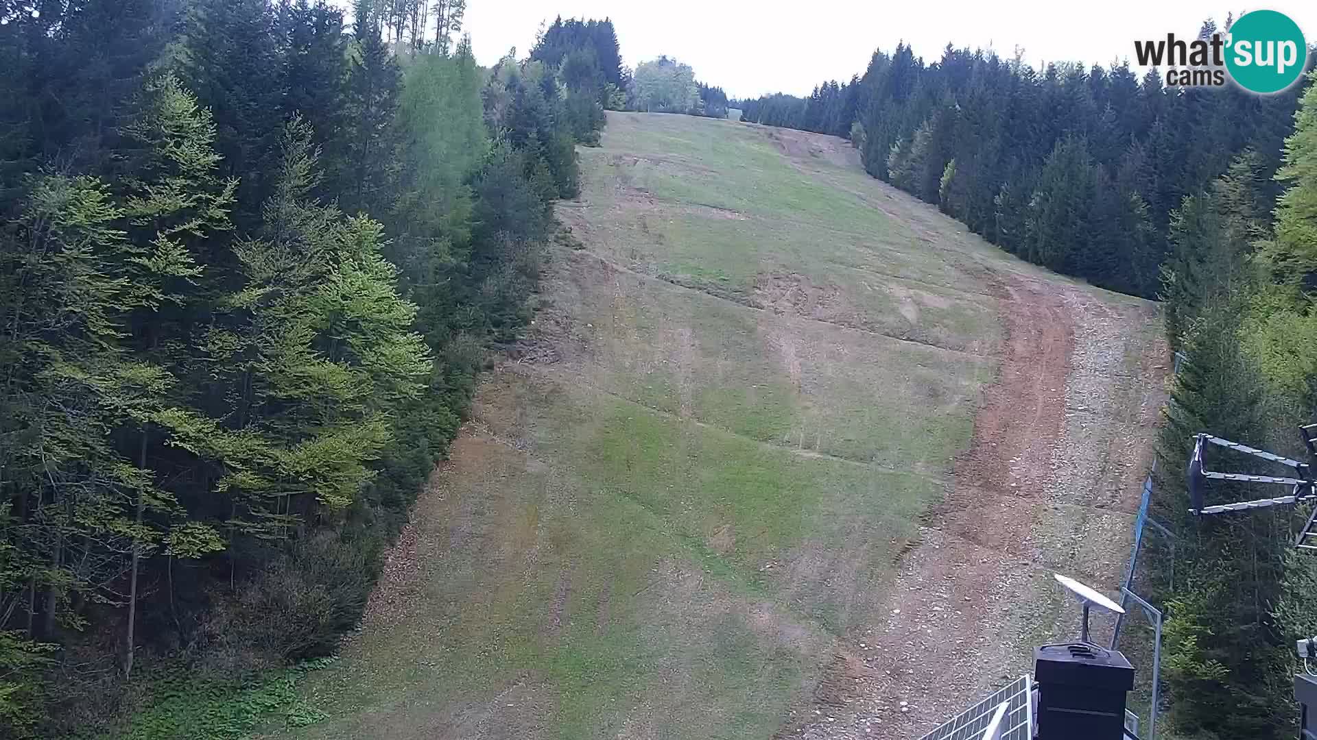 Spletna kamera Rogla apartmaji Dandi – Jurgovo