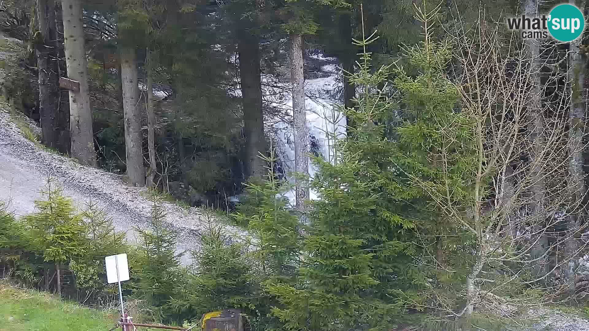 Livecam Rogla apartments Dandi – Jurgovo