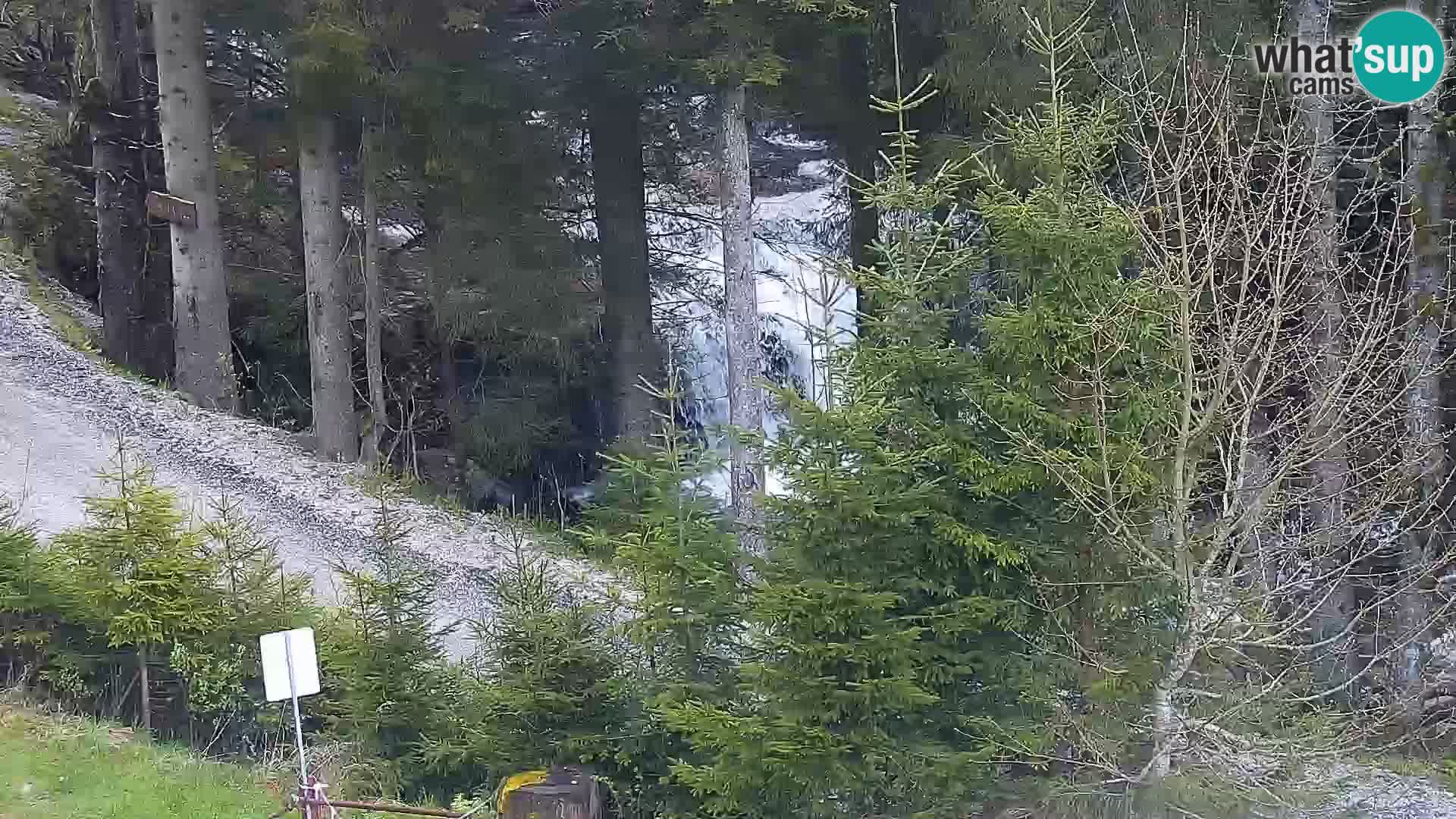 Livecam Rogla apartments Dandi – Jurgovo