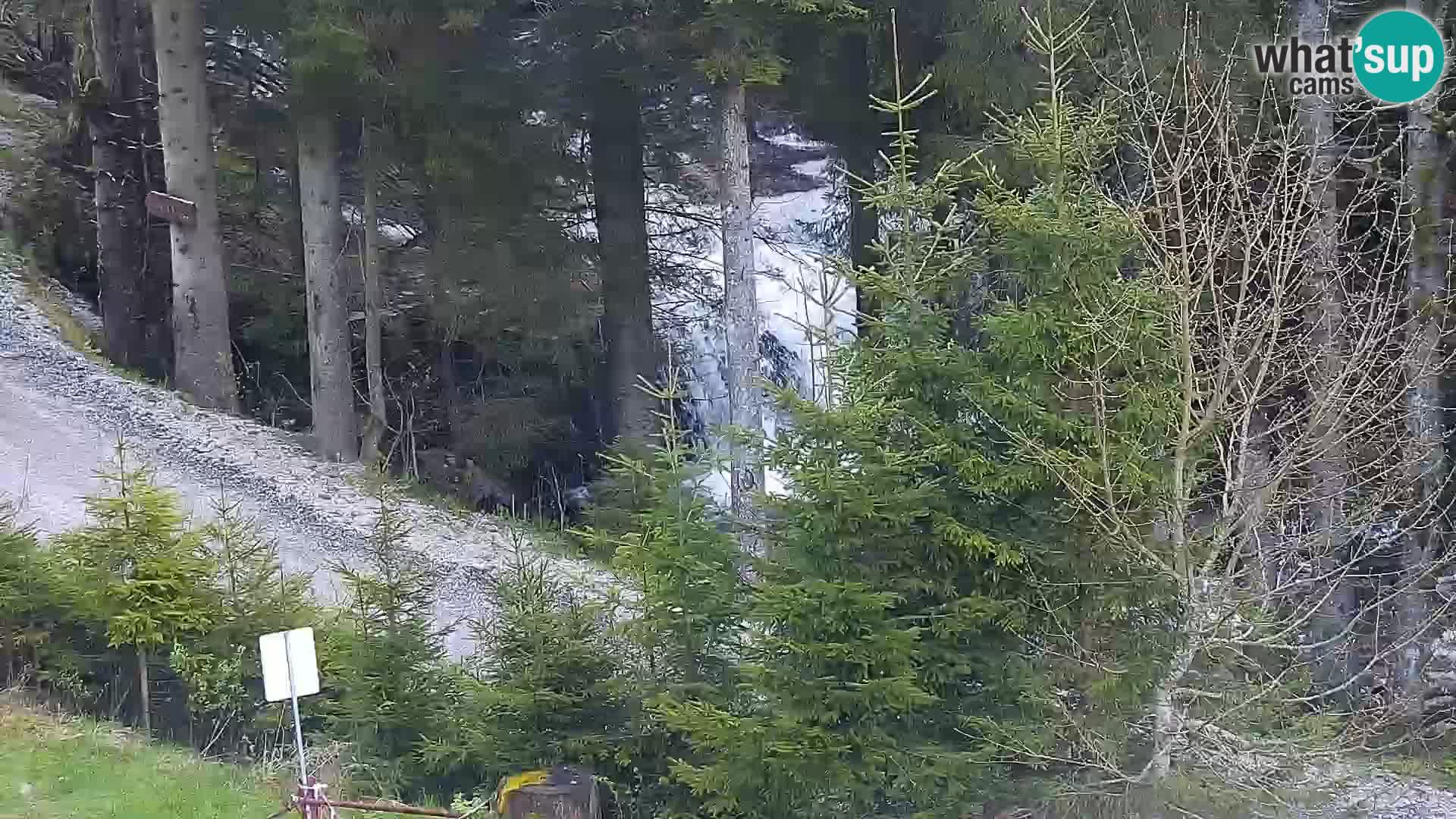 Livecam Rogla apartments Dandi – Jurgovo