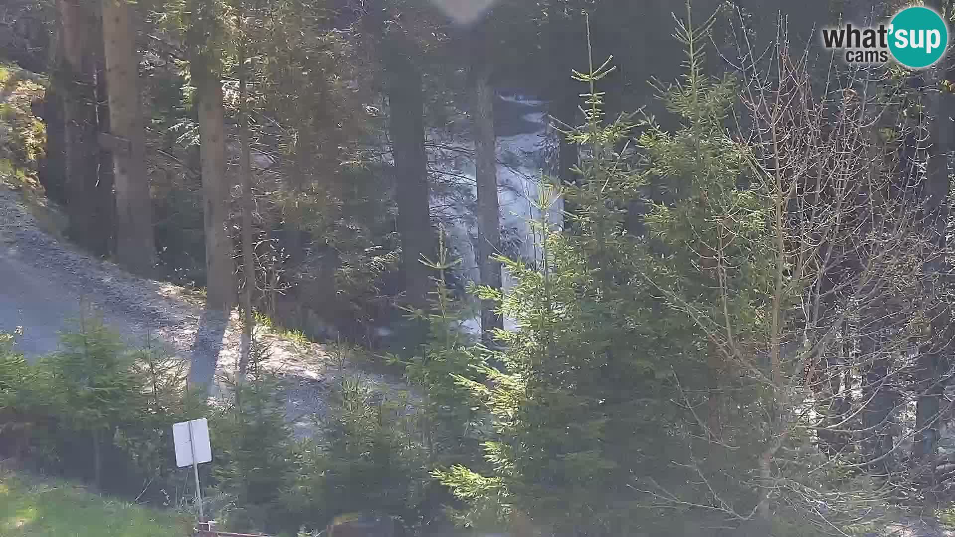 Webcam Rogla Wohnungen Dandi – Jurgovo