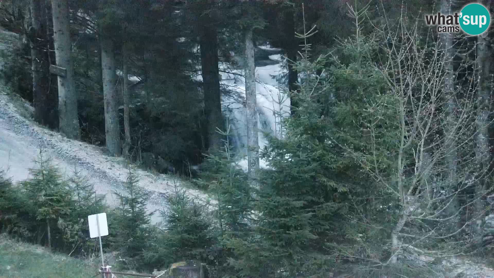 Livecam Rogla apartments Dandi – Jurgovo