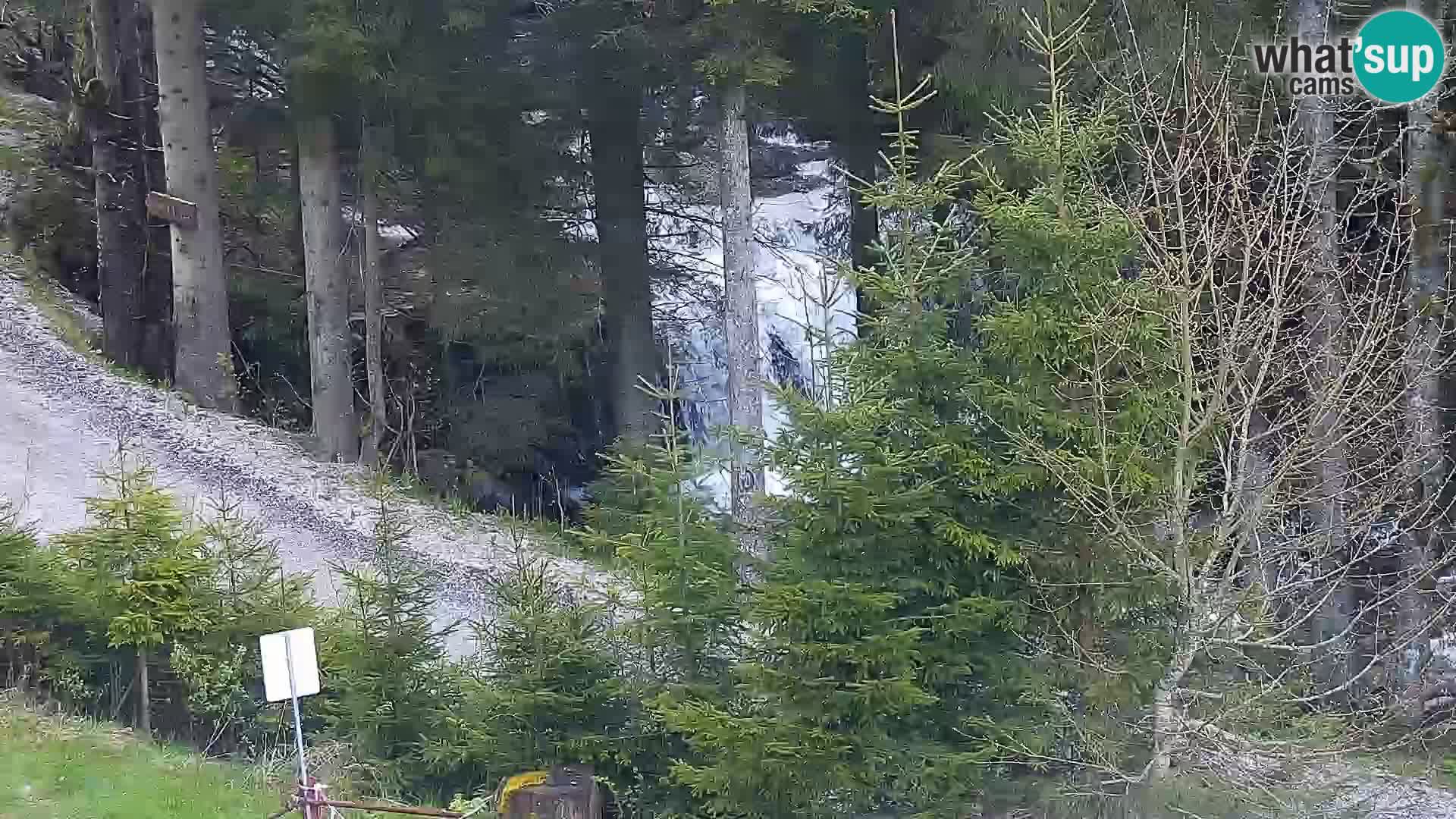 Webcam Rogla Wohnungen Dandi – Jurgovo