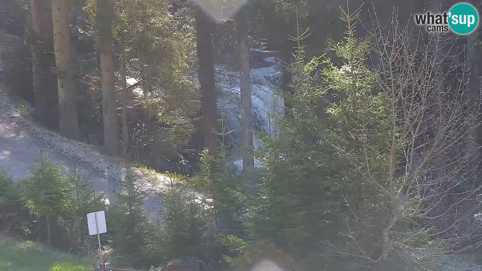 Webcam Rogla Wohnungen Dandi – Jurgovo
