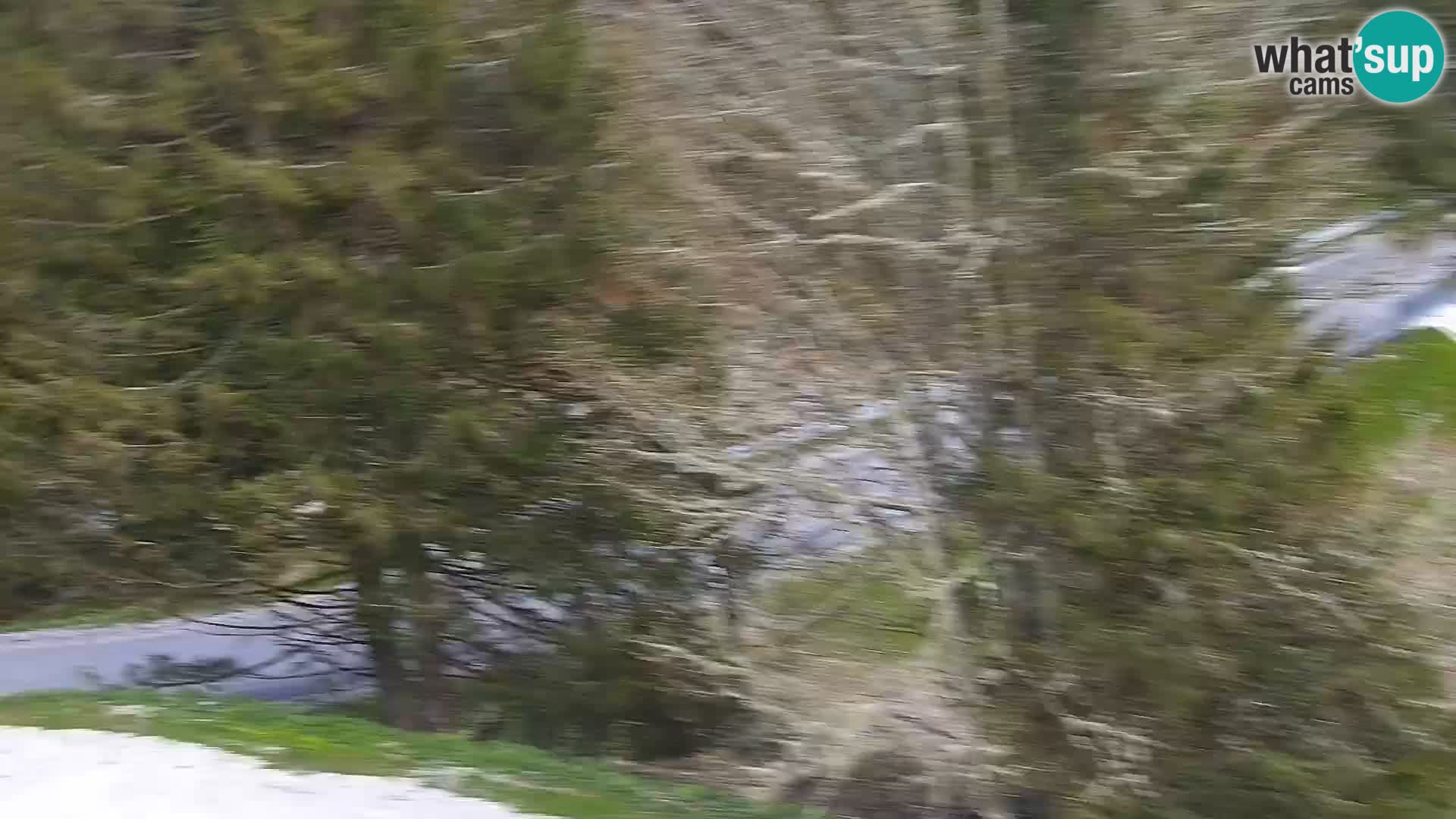 Livecam Rogla apartments Dandi – Jurgovo