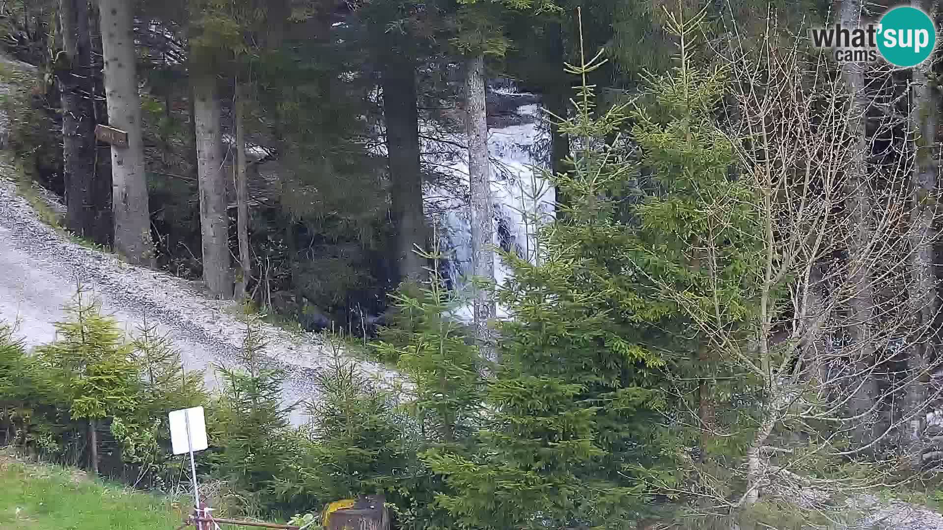 Livecam Rogla apartments Dandi – Jurgovo