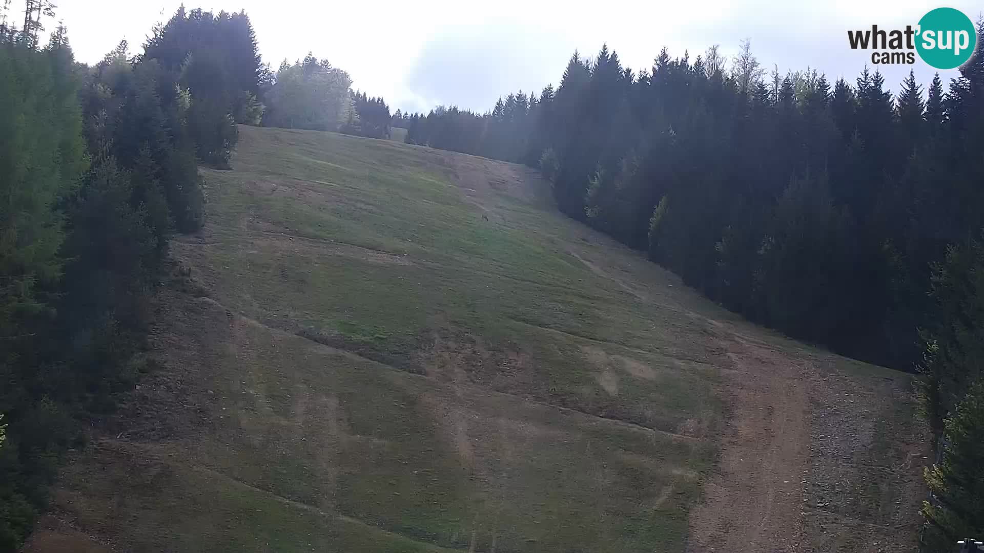 Live webcam Rogla appartamenti Dandi – Jurgovo