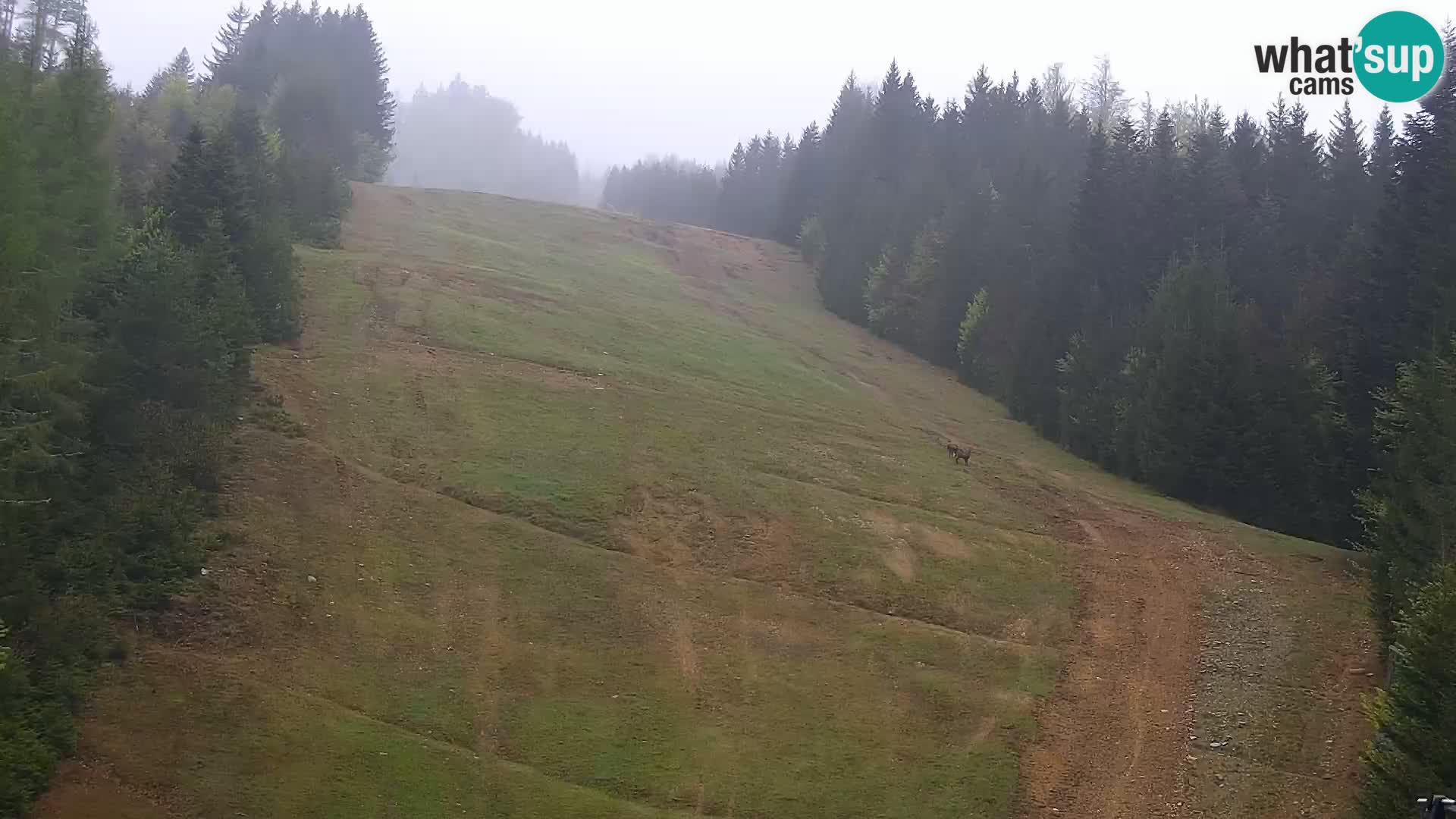 Livecam Rogla apartments Dandi – Jurgovo