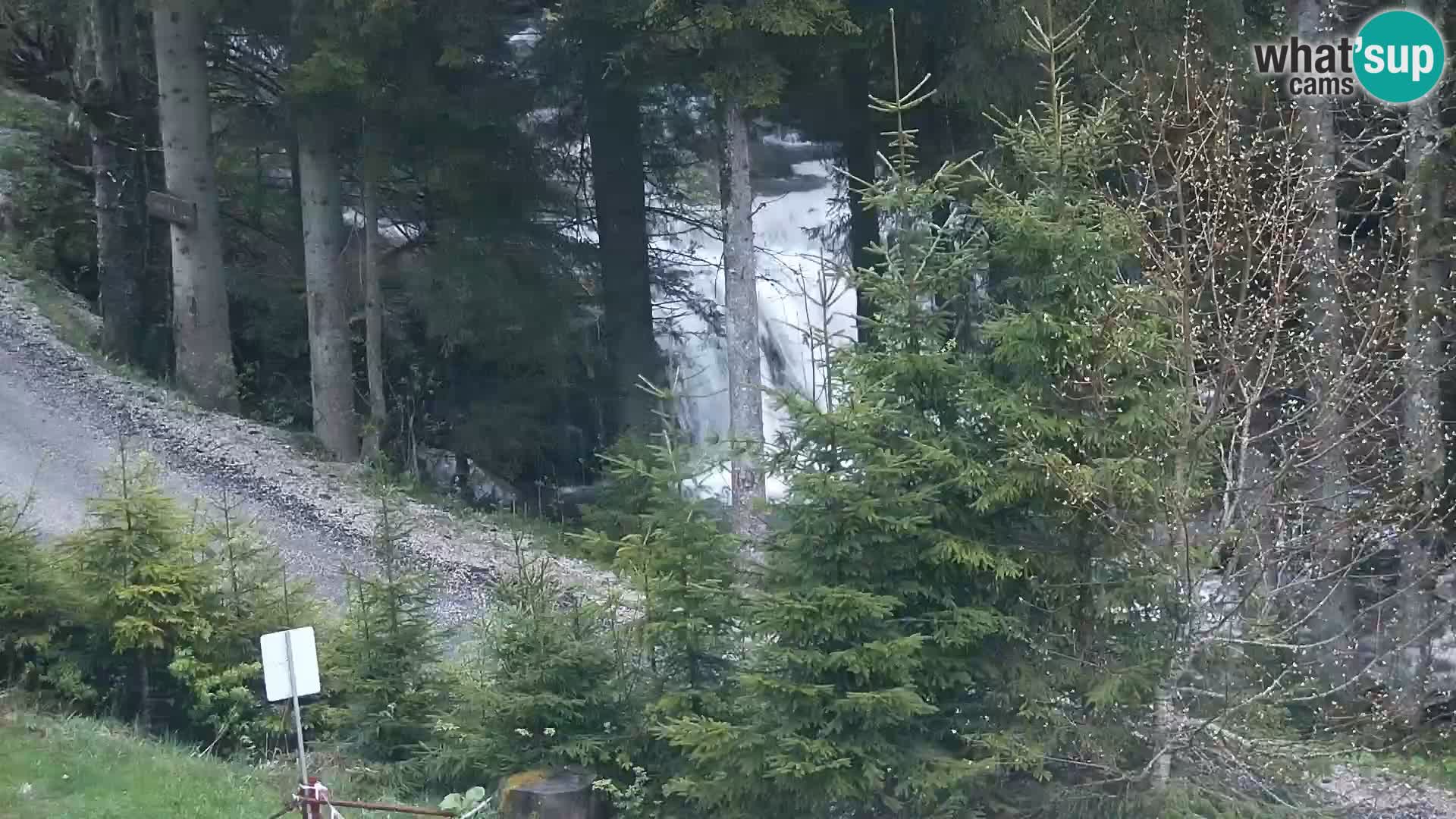 Camera en vivo Rogla appartamentos Dandi – Jurgovo