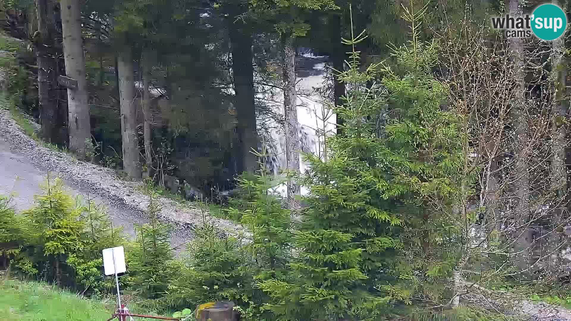 Webcam Rogla Wohnungen Dandi – Jurgovo