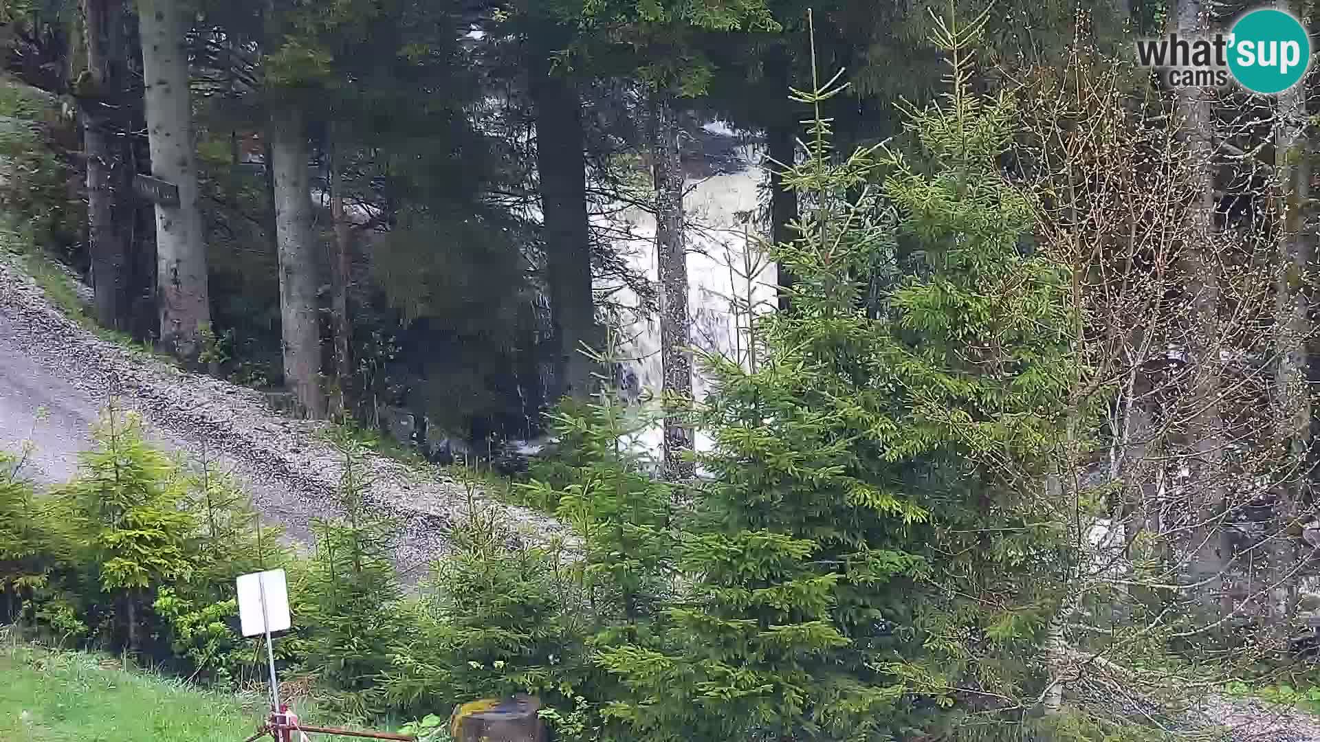 Spletna kamera Rogla apartmaji Dandi – Jurgovo