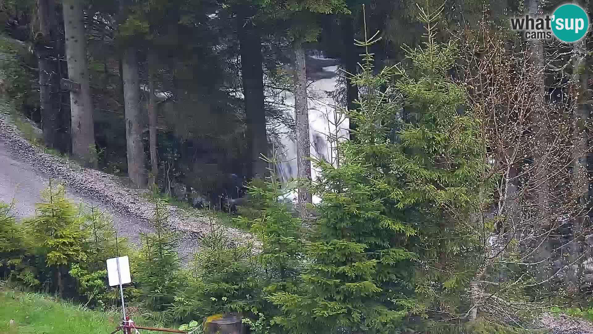 Live webcam Rogla appartamenti Dandi – Jurgovo