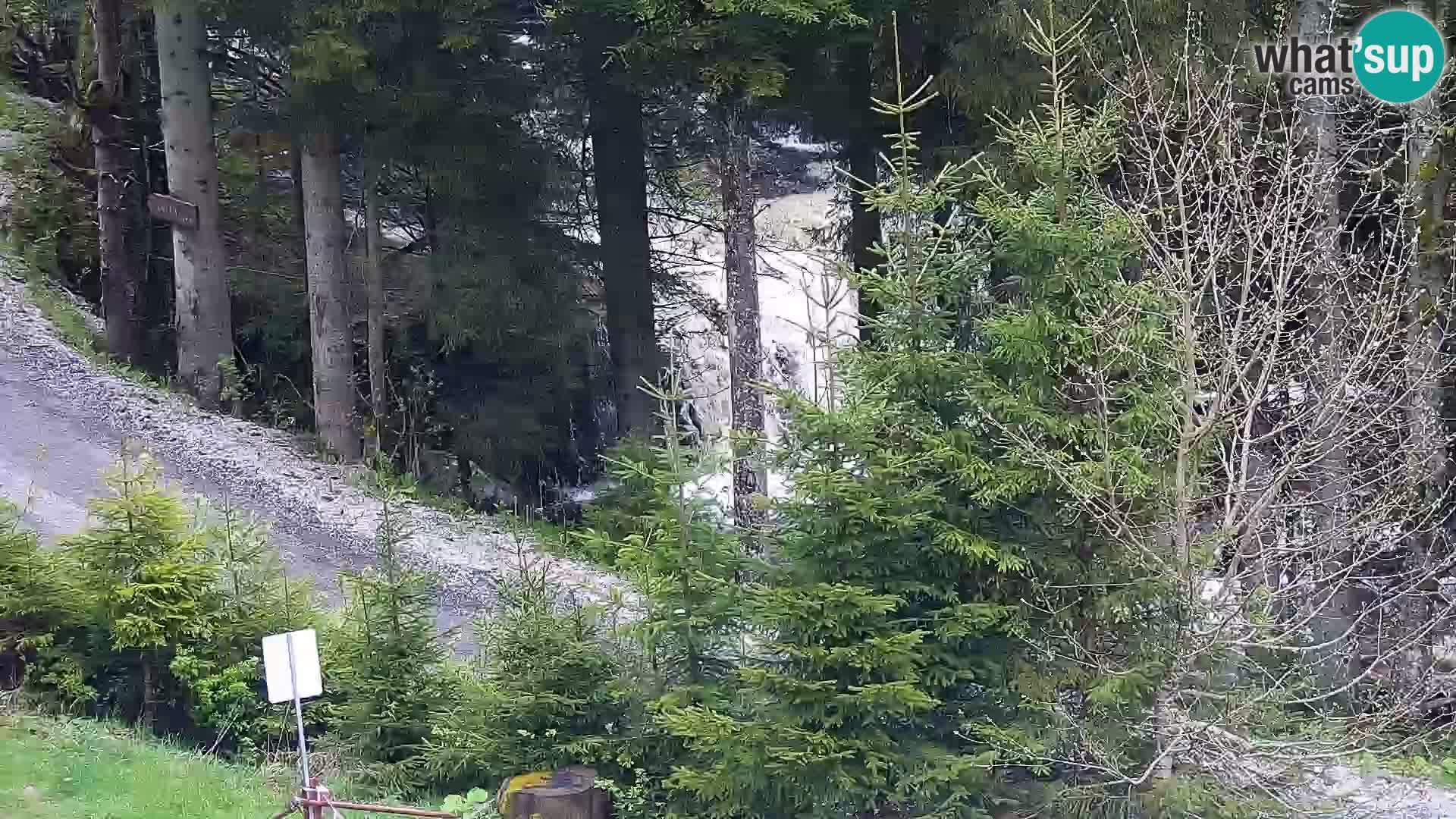 Camera en vivo Rogla appartamentos Dandi – Jurgovo