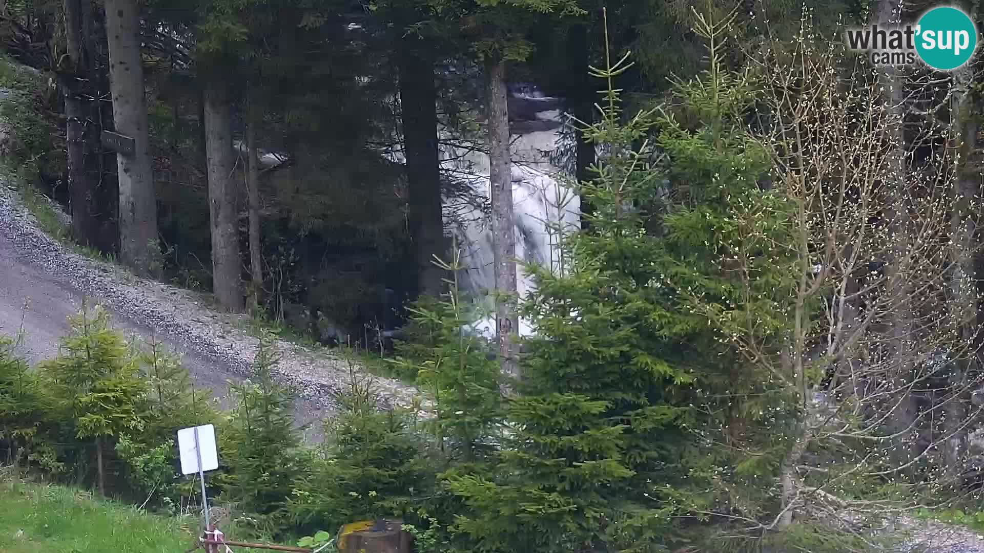 Webcam Rogla Wohnungen Dandi – Jurgovo