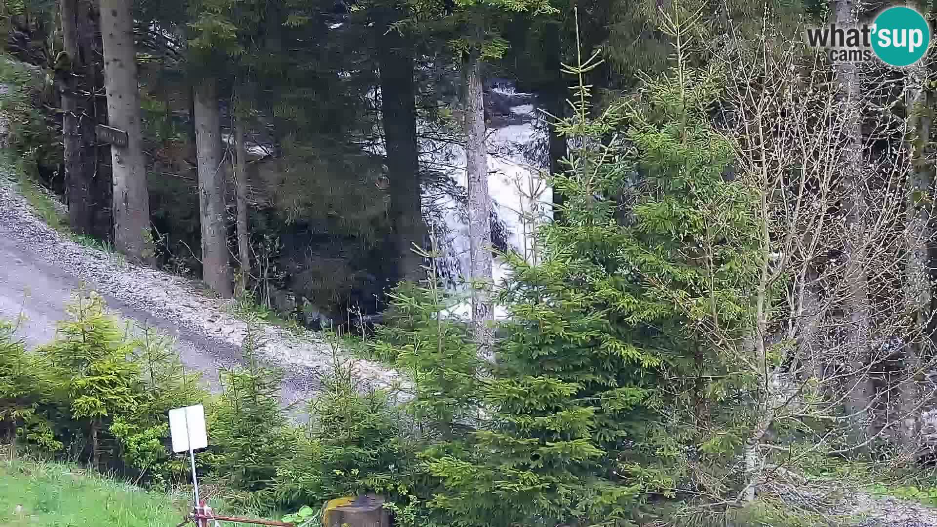 Spletna kamera Rogla apartmaji Dandi – Jurgovo