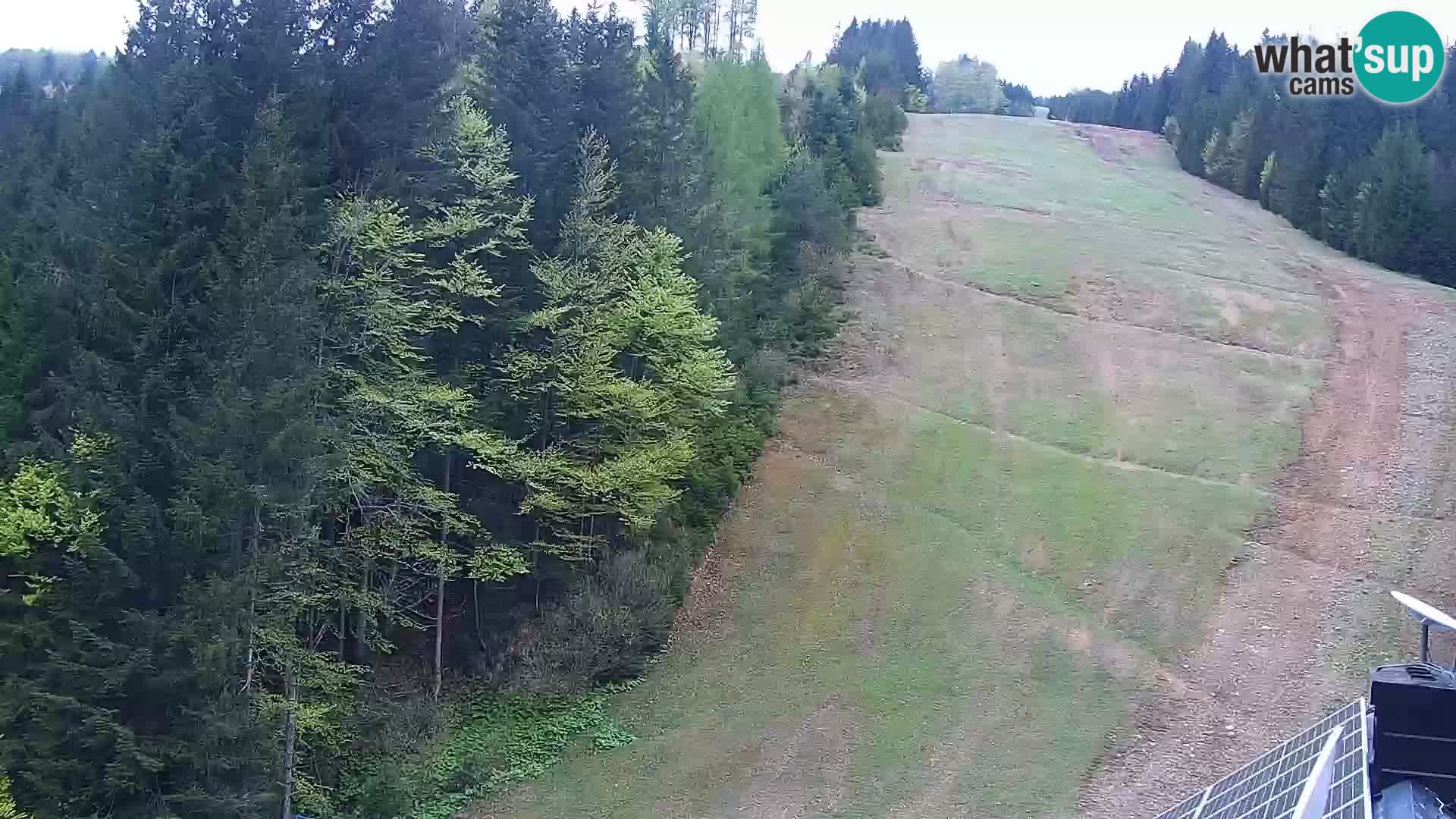 Live Rogla appartements Dandi – Jurgovo
