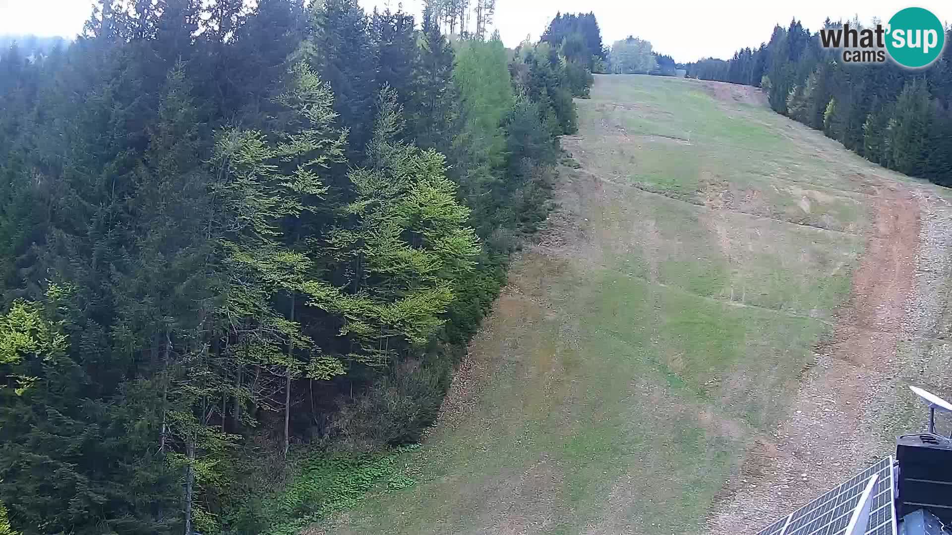 Livecam Rogla apartments Dandi – Jurgovo
