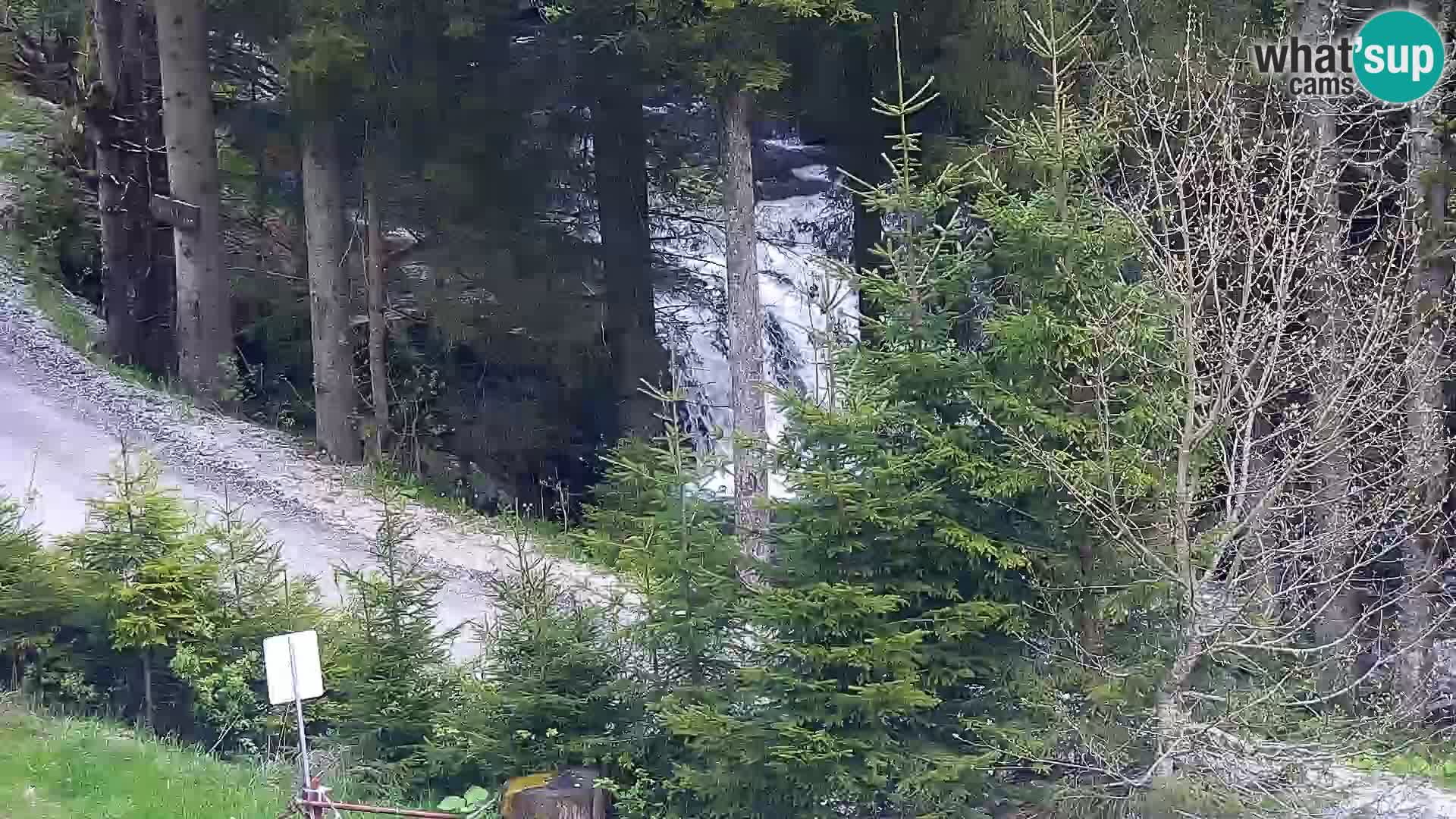 Webcam Rogla Wohnungen Dandi – Jurgovo