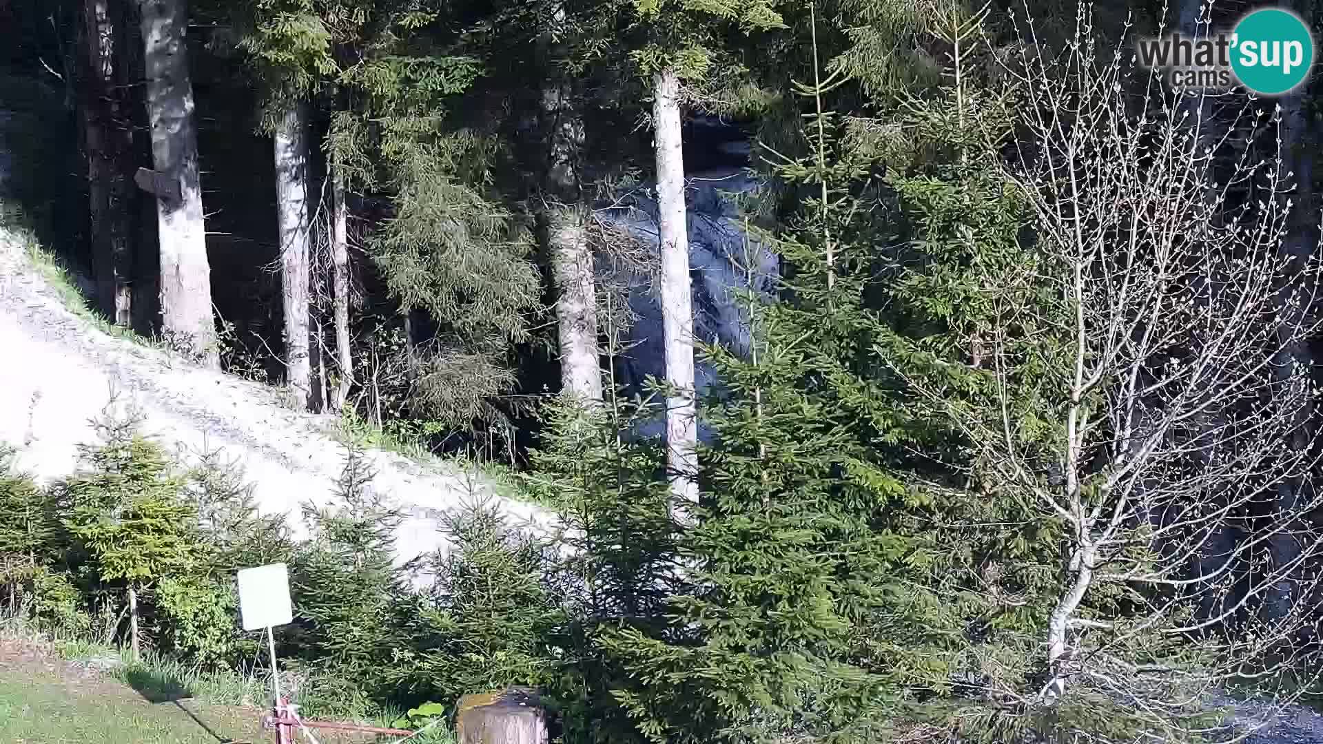 Camera en vivo Rogla appartamentos Dandi – Jurgovo