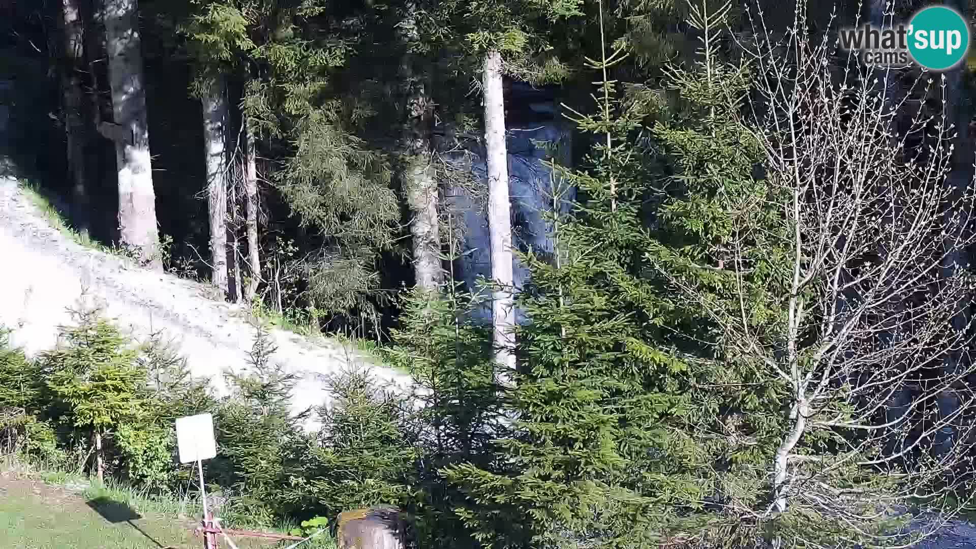 Live Rogla appartements Dandi – Jurgovo