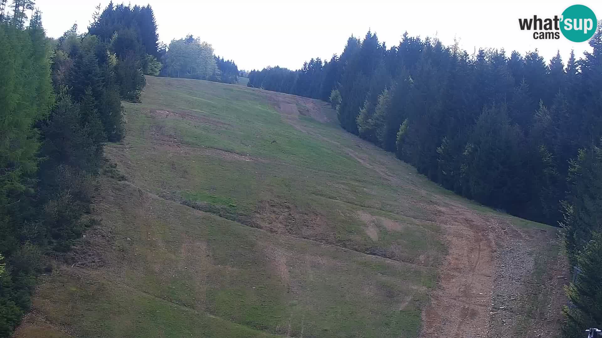 Livecam Rogla apartments Dandi – Jurgovo