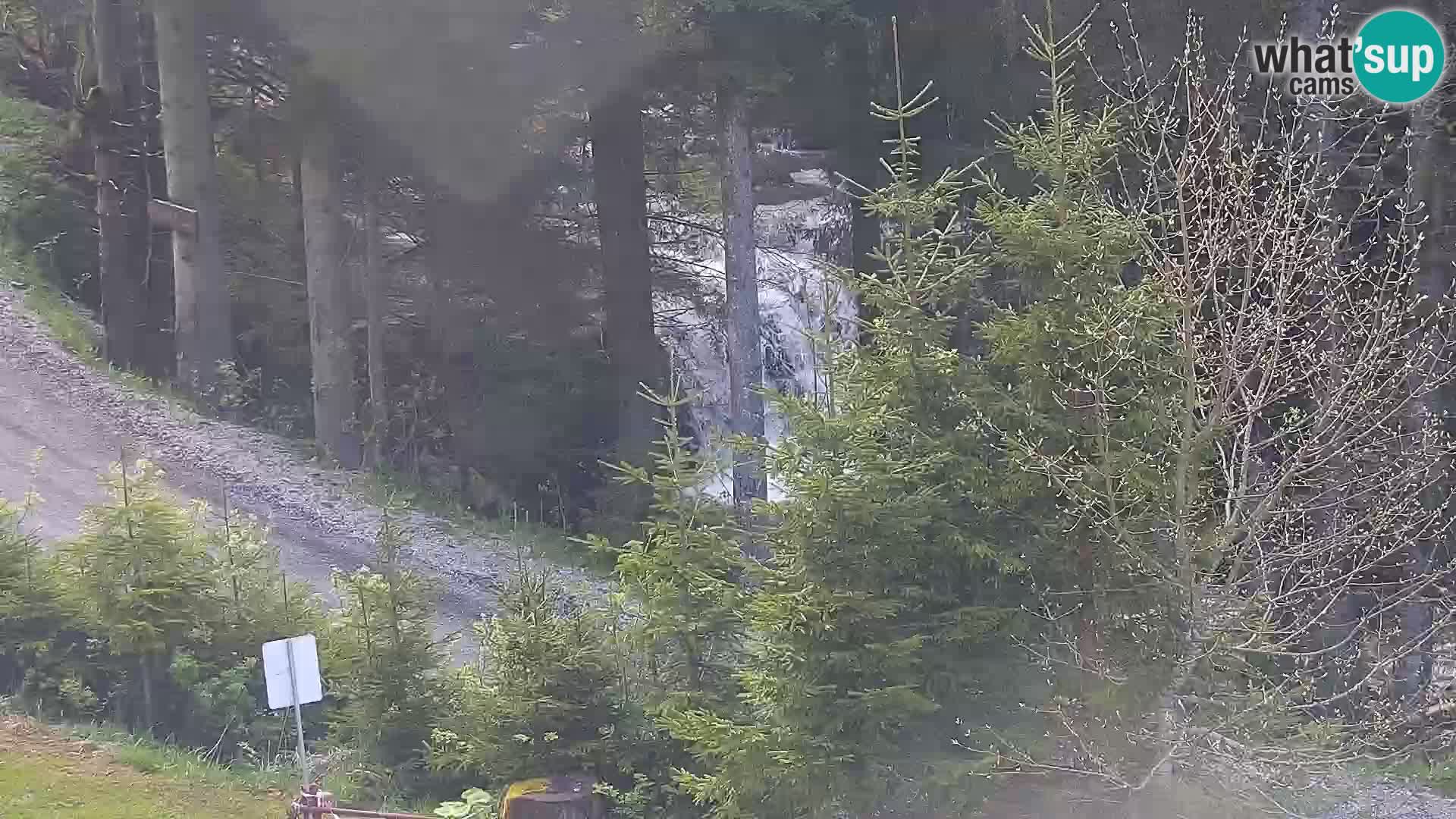 Live Rogla appartements Dandi – Jurgovo