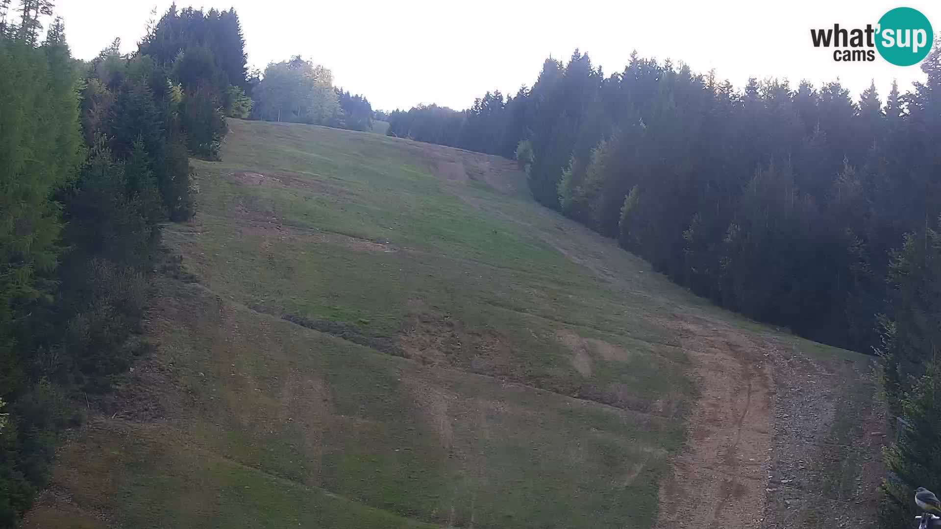 Webcam Rogla Wohnungen Dandi – Jurgovo
