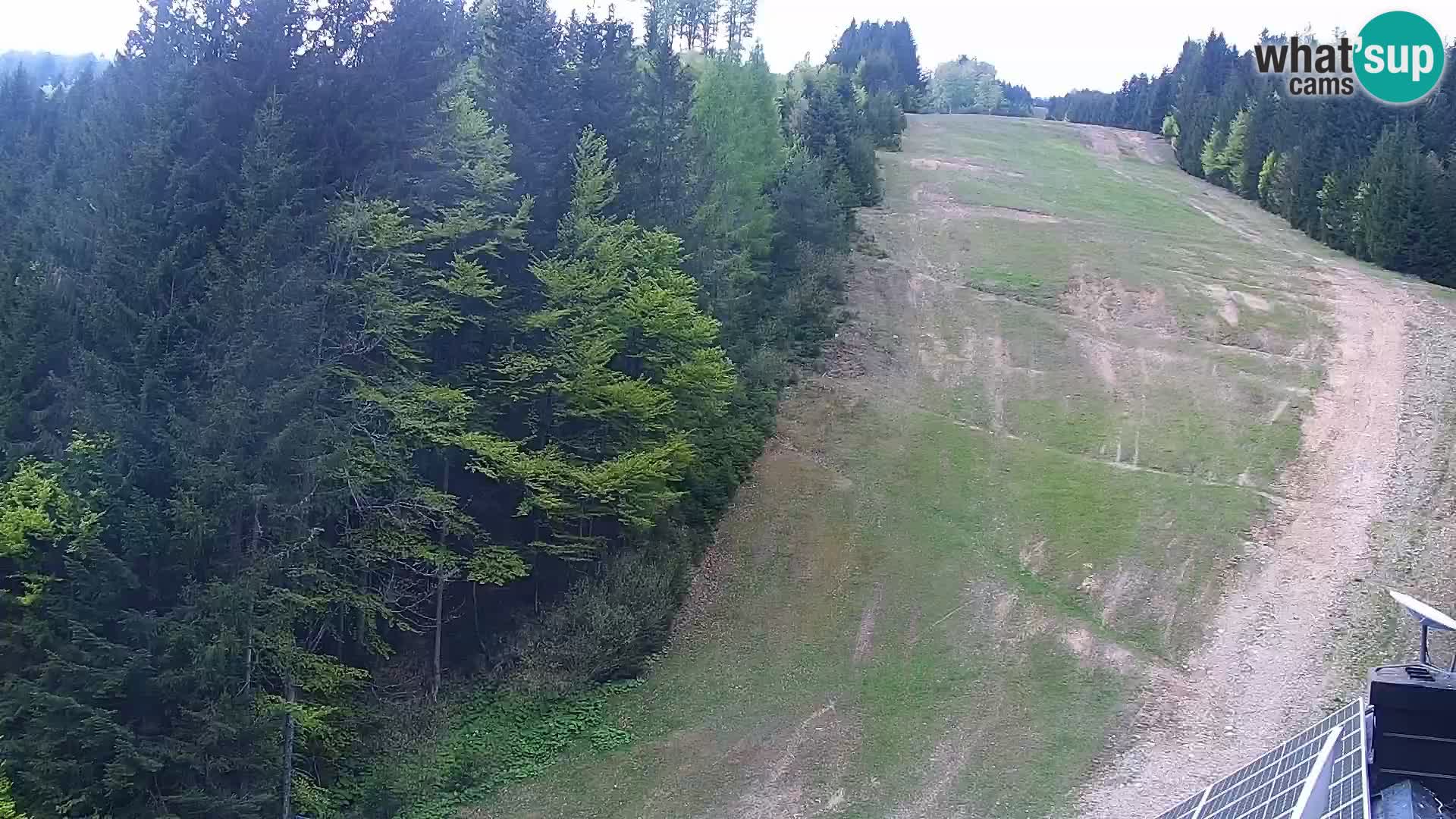 Spletna kamera Rogla apartmaji Dandi – Jurgovo
