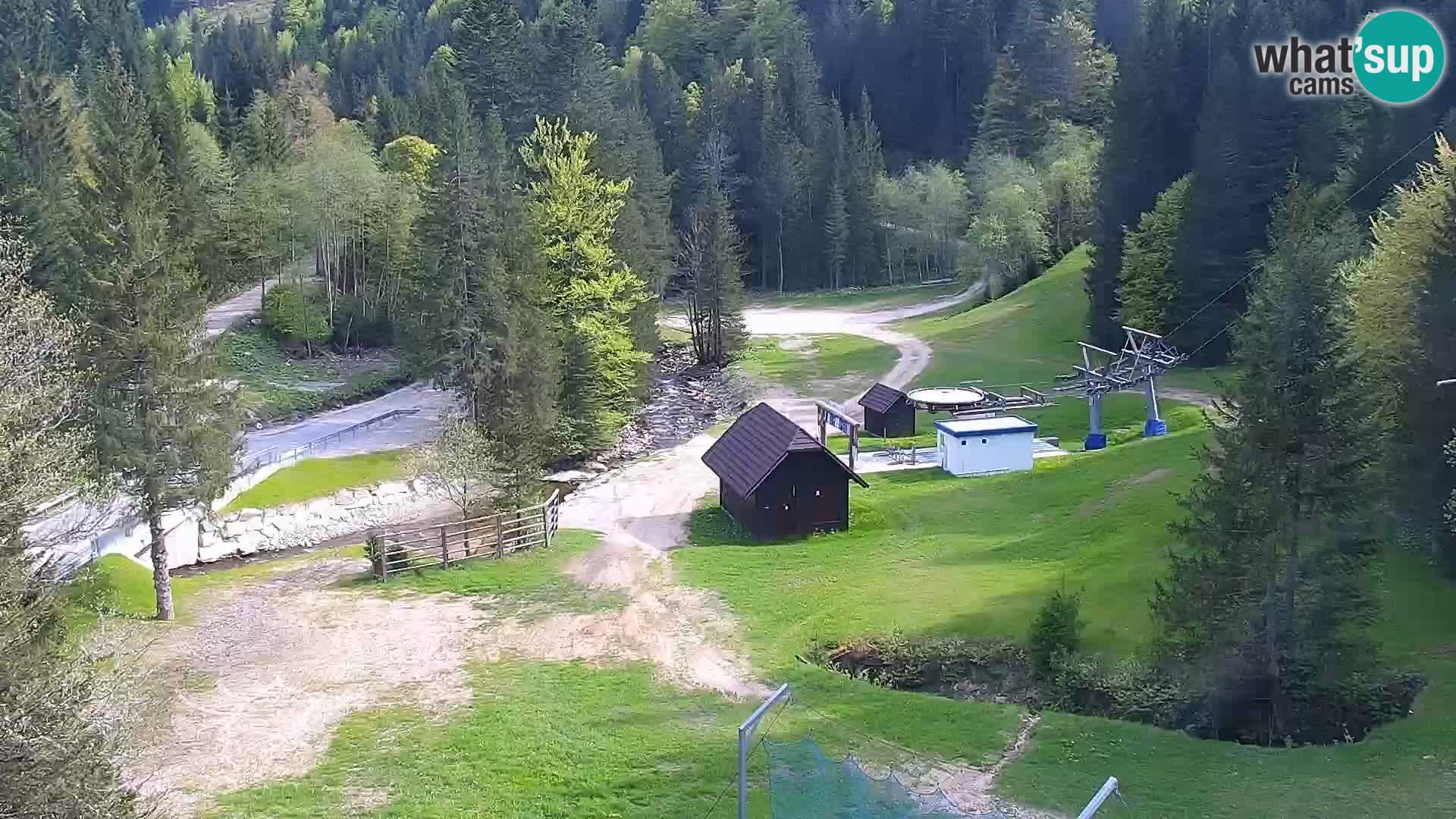 Spletna kamera Rogla apartmaji Dandi – Jurgovo