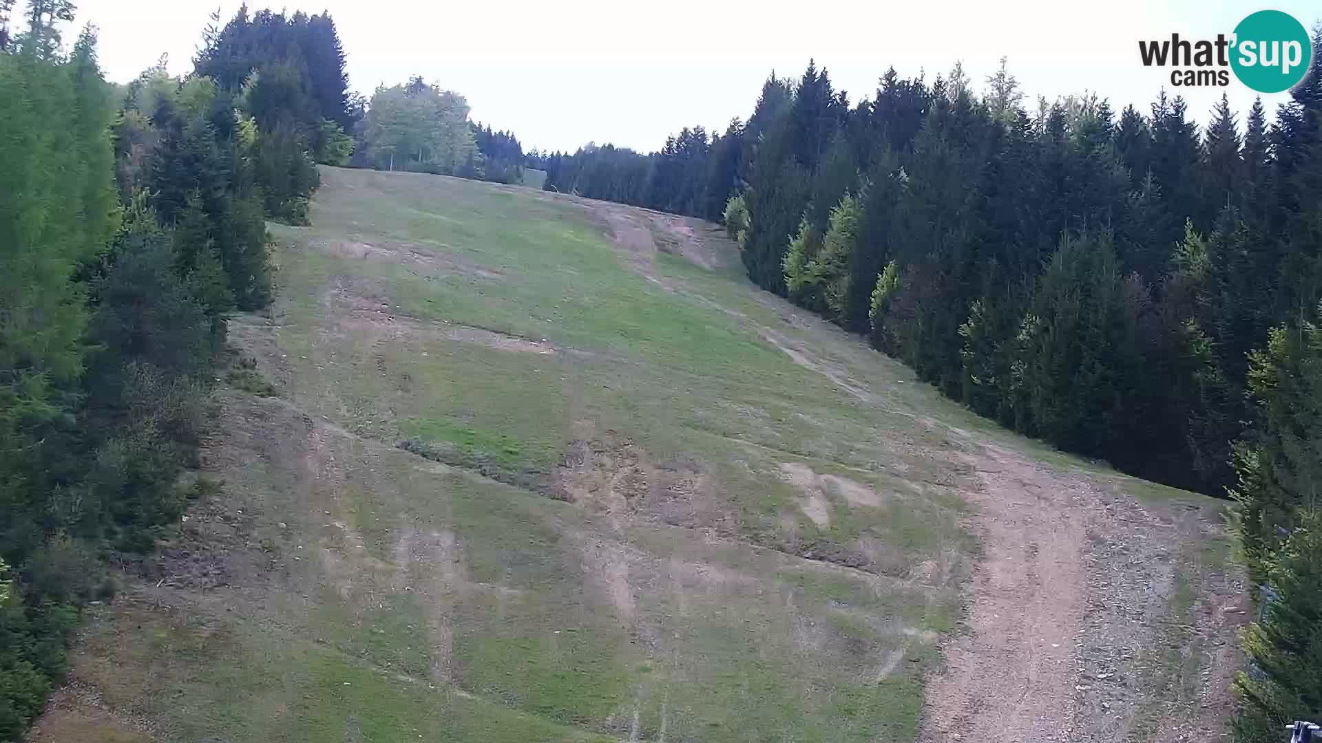 Spletna kamera Rogla apartmaji Dandi – Jurgovo