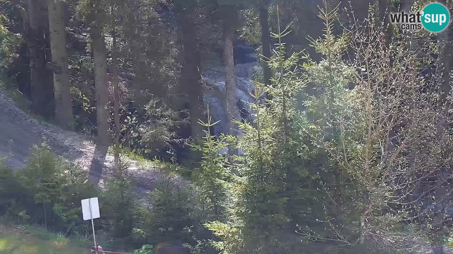 Live webcam Rogla appartamenti Dandi – Jurgovo
