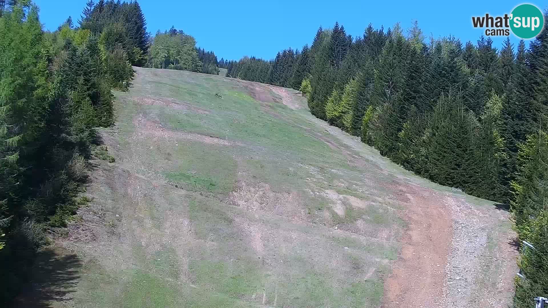 Live webcam Rogla appartamenti Dandi – Jurgovo