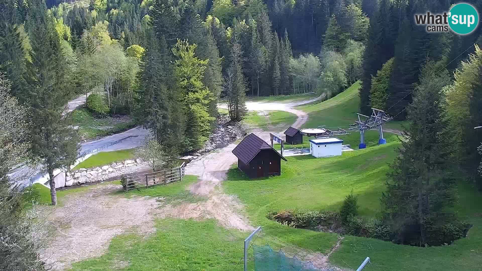Webcam Rogla Wohnungen Dandi – Jurgovo