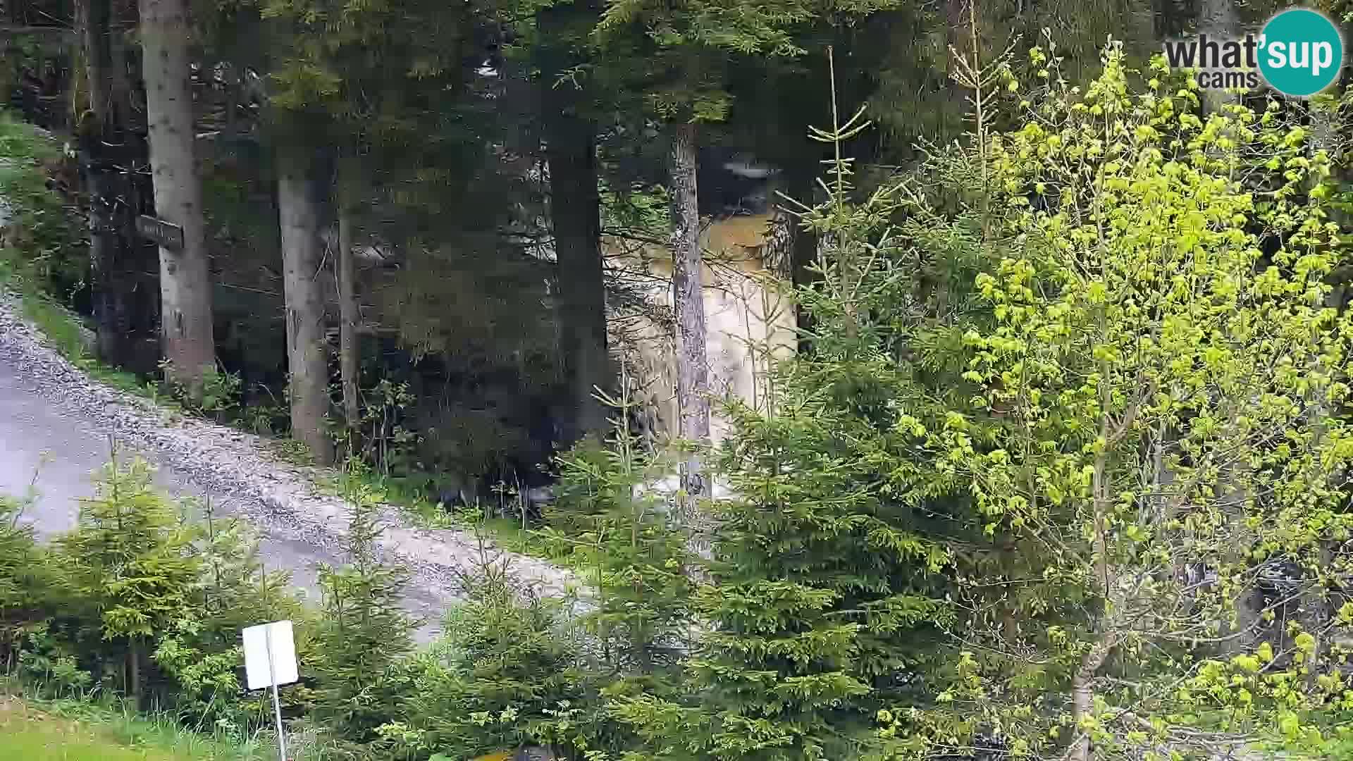 Web kamera Rogla apartmani Dandi – Jurgovo