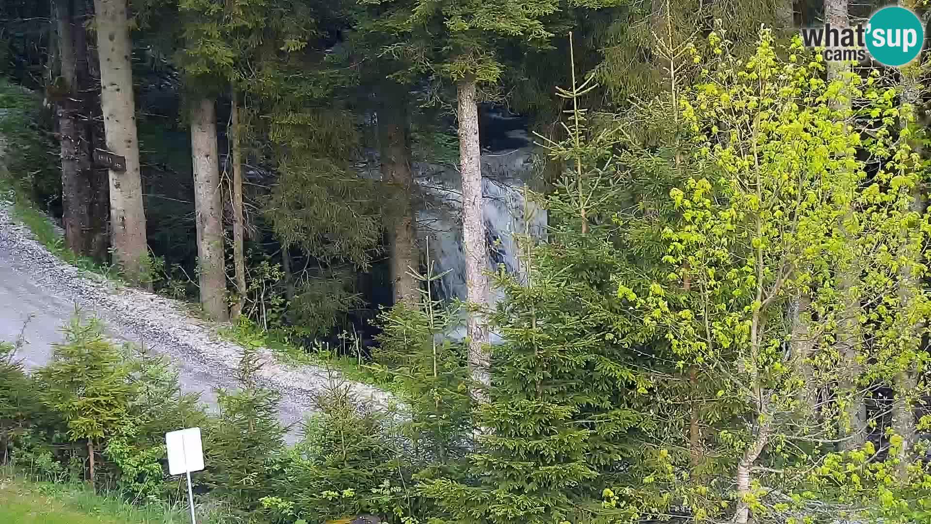 Spletna kamera Rogla apartmaji Dandi – Jurgovo