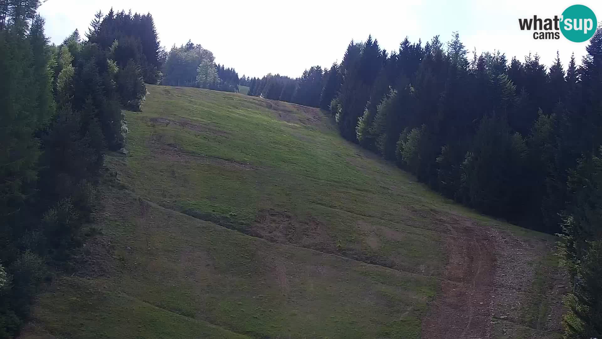 Livecam Rogla apartments Dandi – Jurgovo