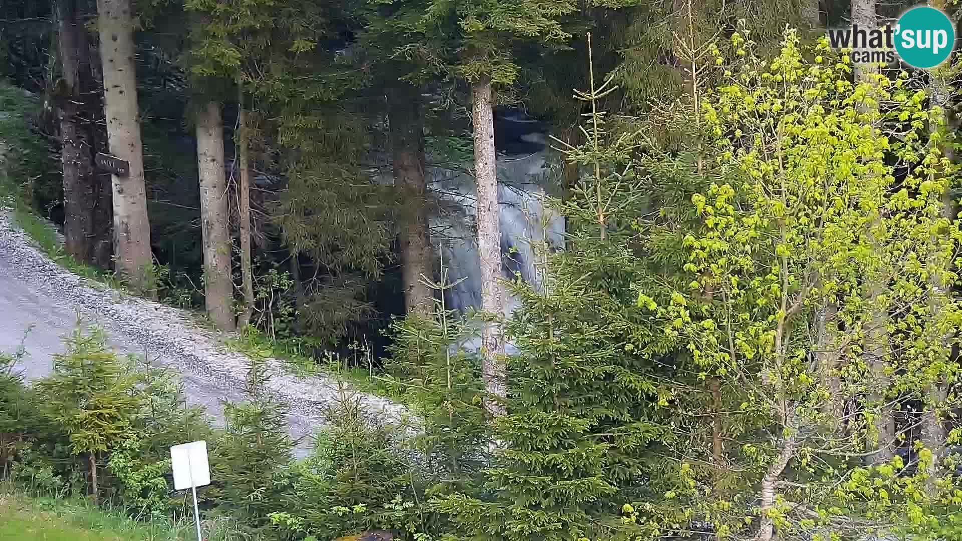 Camera en vivo Rogla appartamentos Dandi – Jurgovo