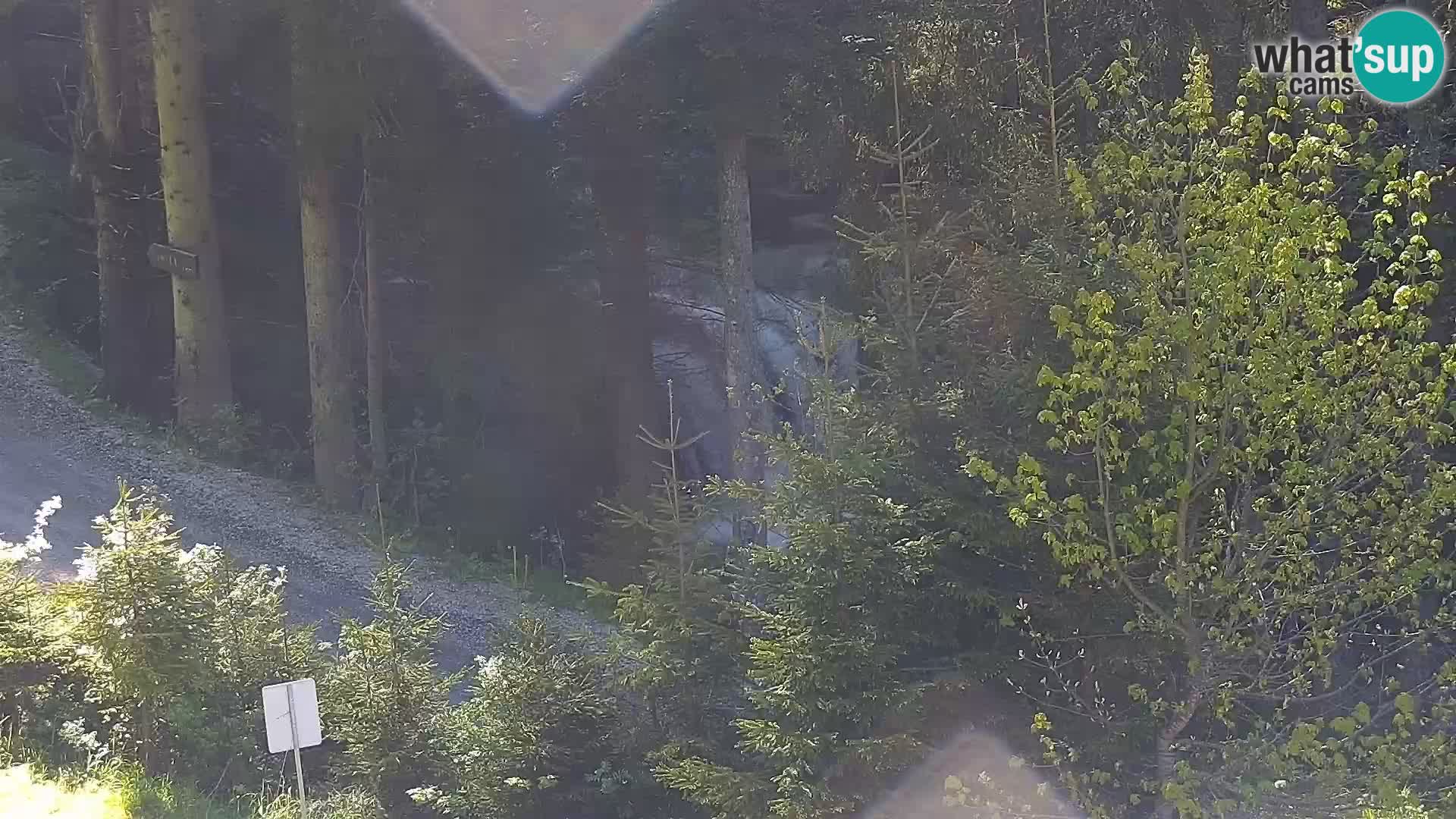 Camera en vivo Rogla appartamentos Dandi – Jurgovo