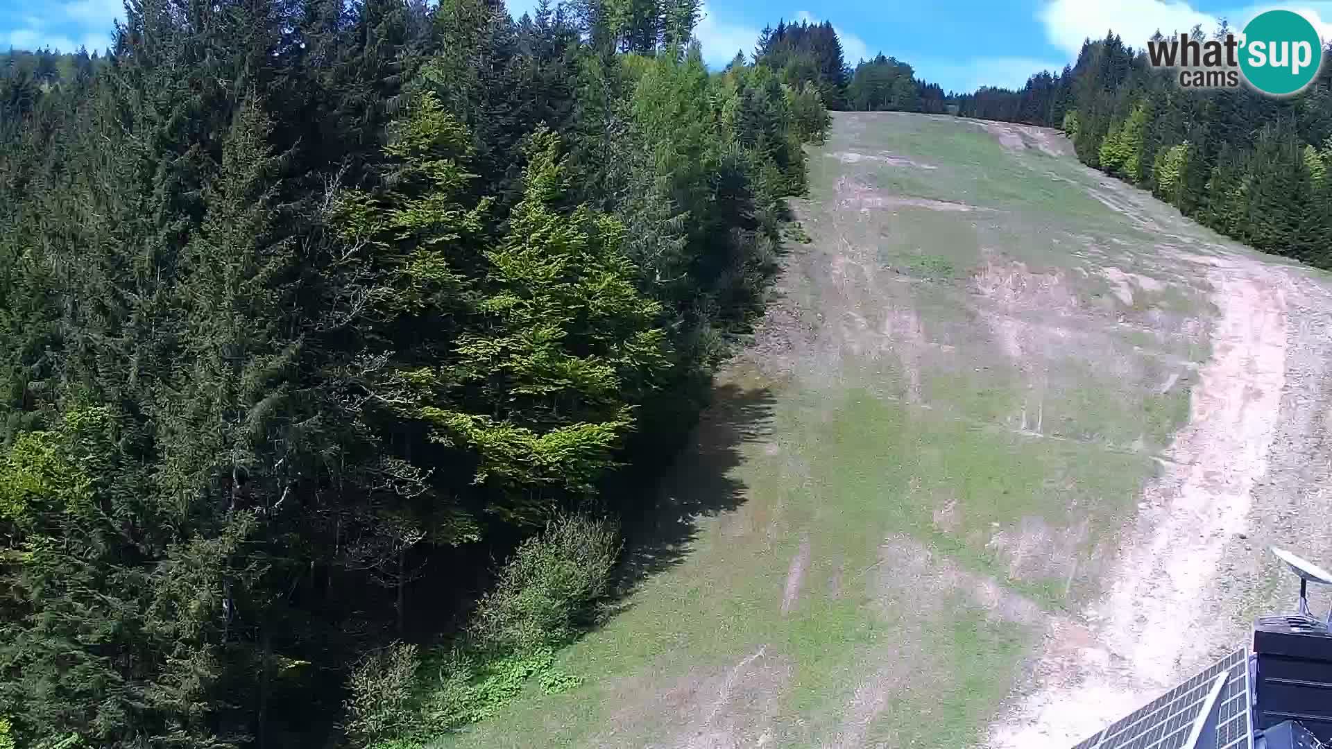 Livecam Rogla apartments Dandi – Jurgovo