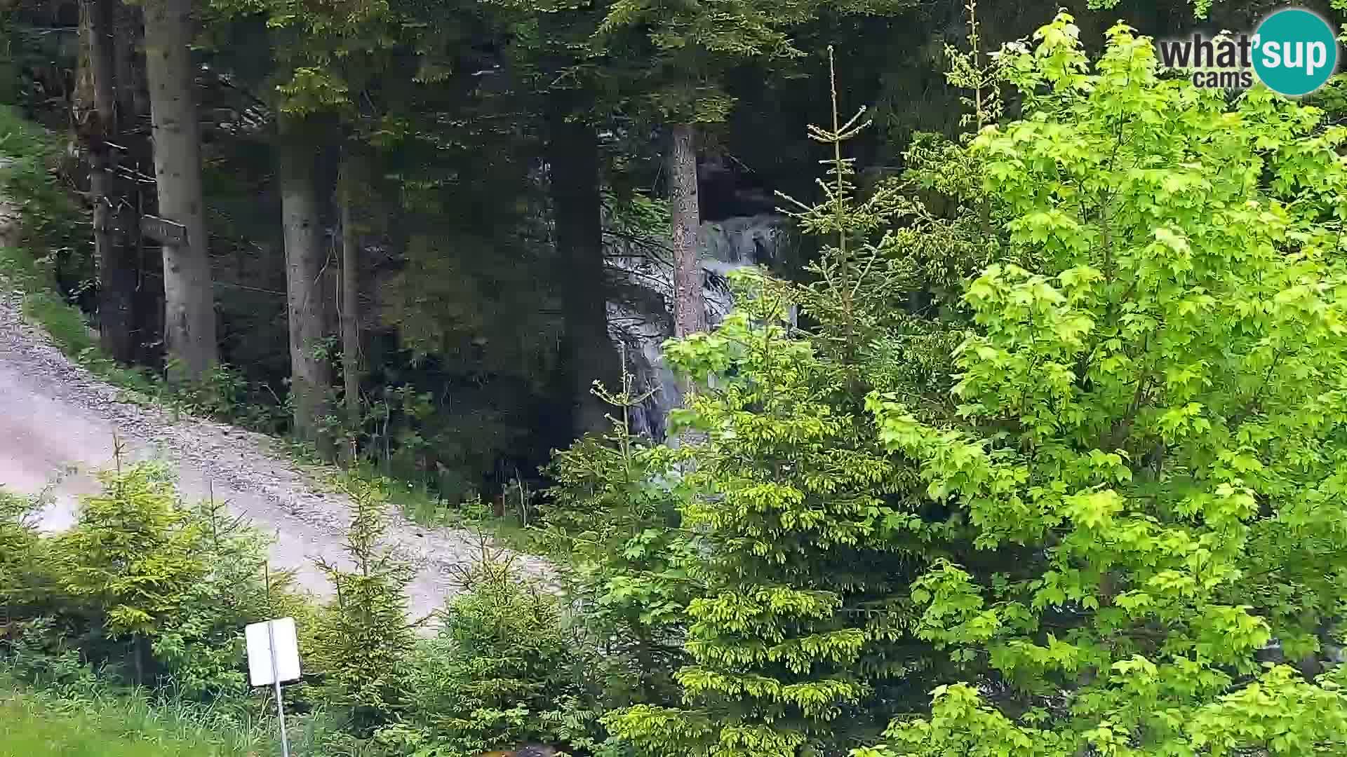 Webcam Rogla Wohnungen Dandi – Jurgovo