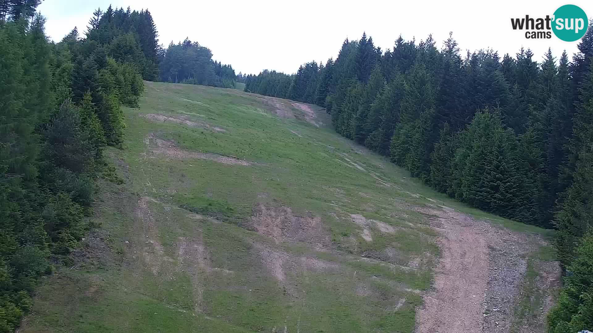 Livecam Rogla apartments Dandi – Jurgovo