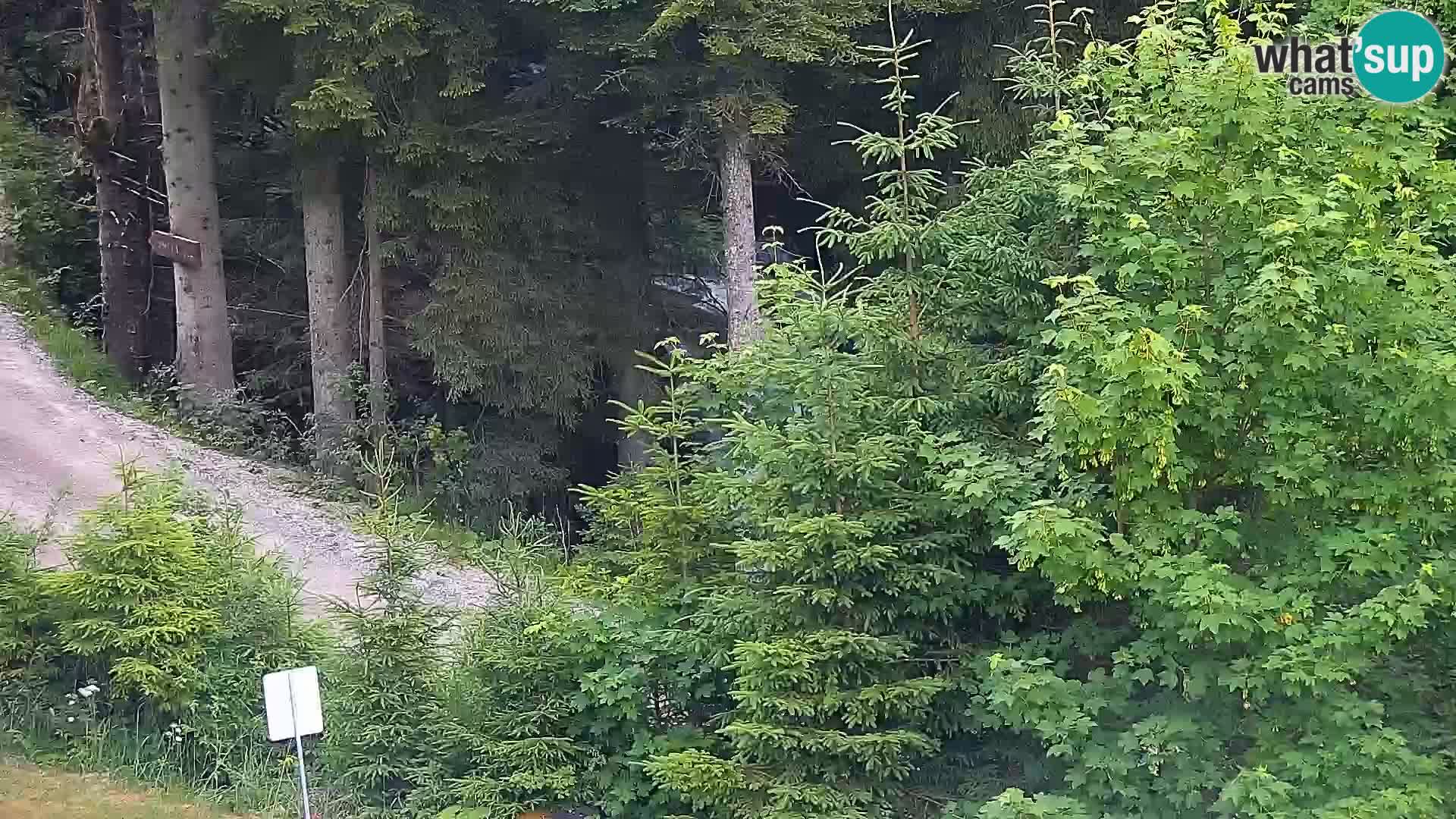 Camera en vivo Rogla appartamentos Dandi – Jurgovo