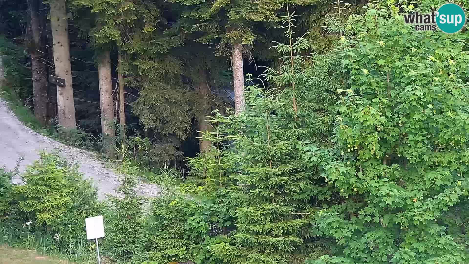 Spletna kamera Rogla apartmaji Dandi – Jurgovo