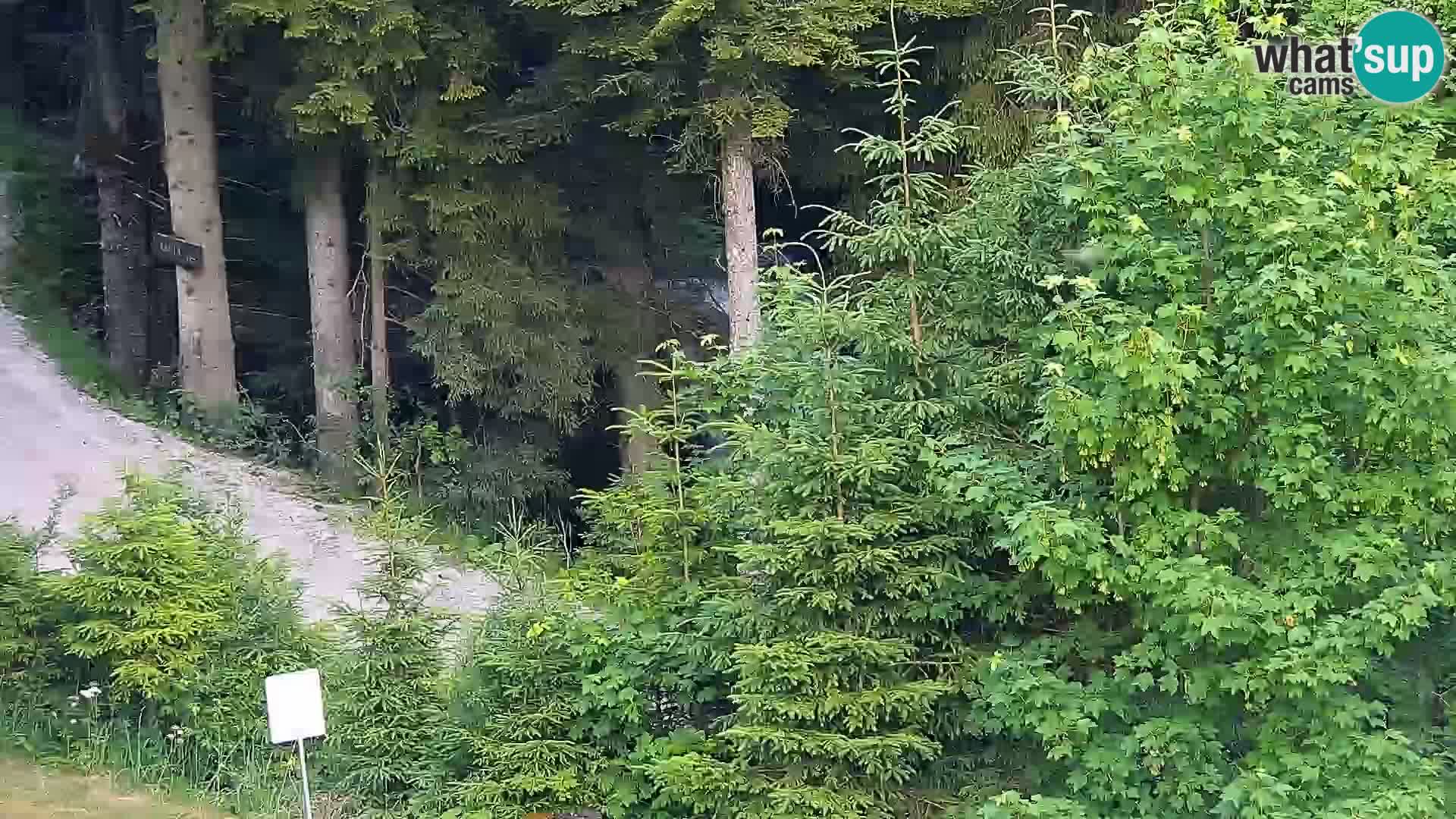 Web kamera Rogla apartmani Dandi – Jurgovo