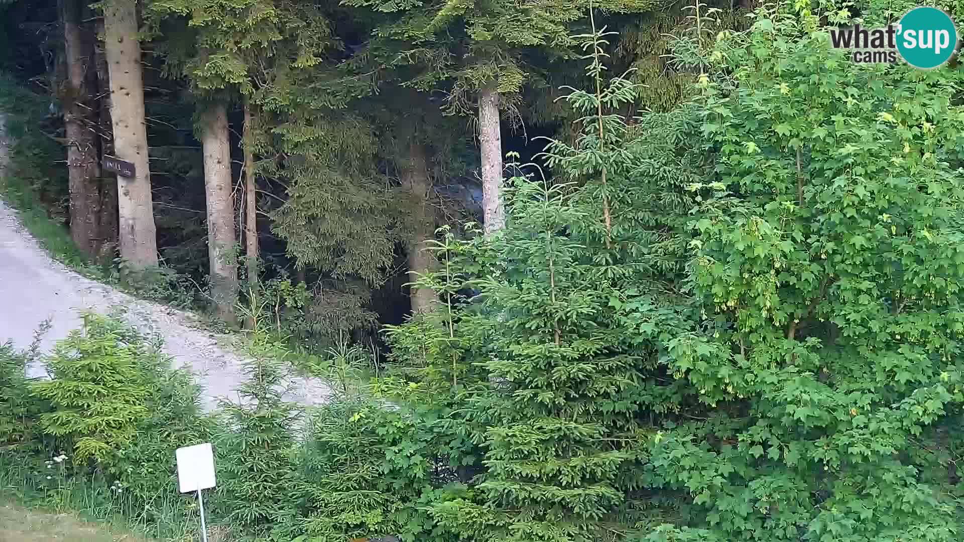 Camera en vivo Rogla appartamentos Dandi – Jurgovo